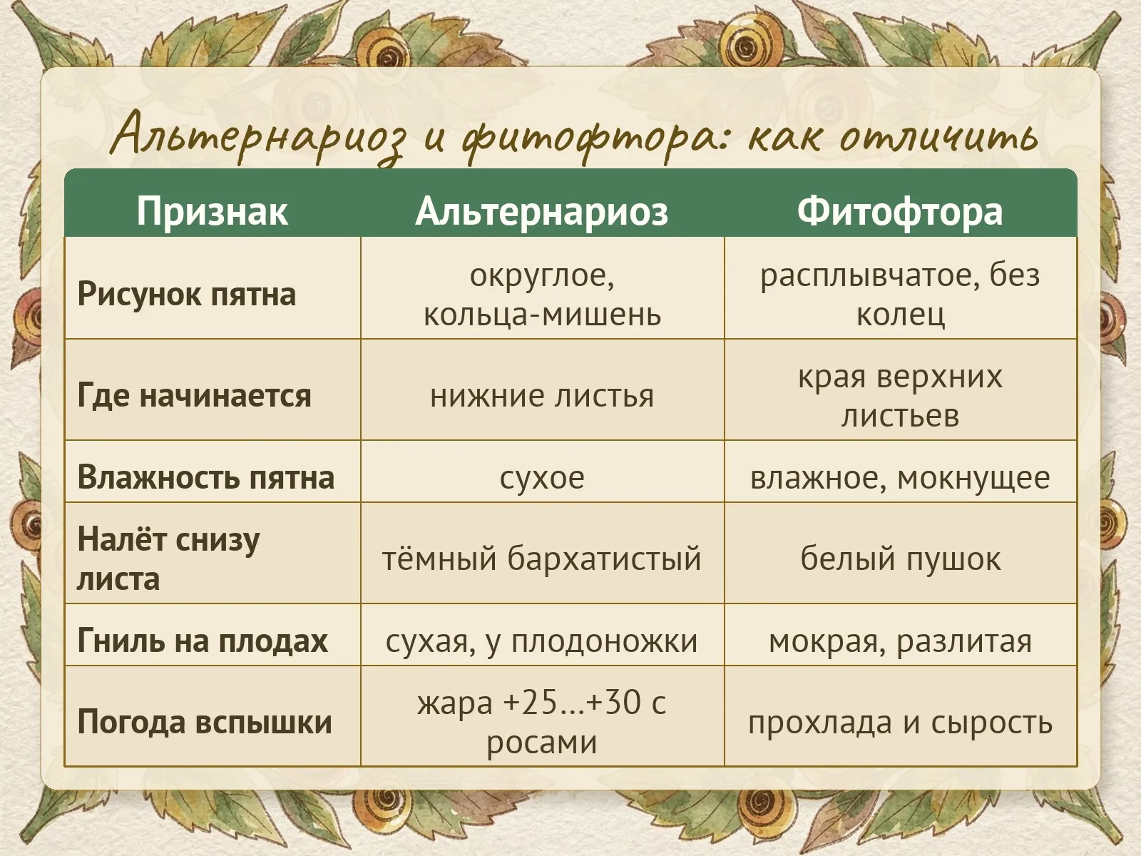 Таблица