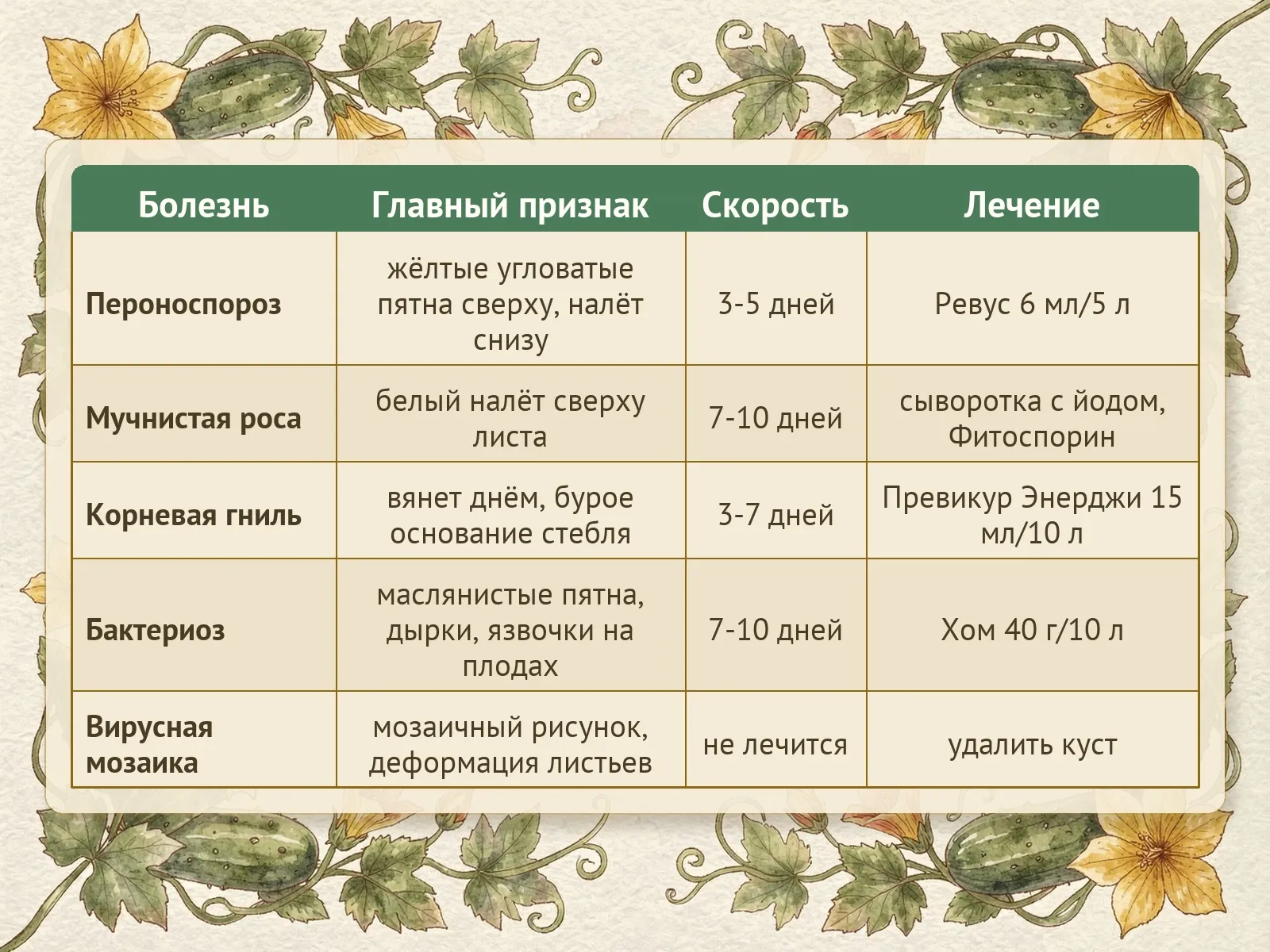 Таблица