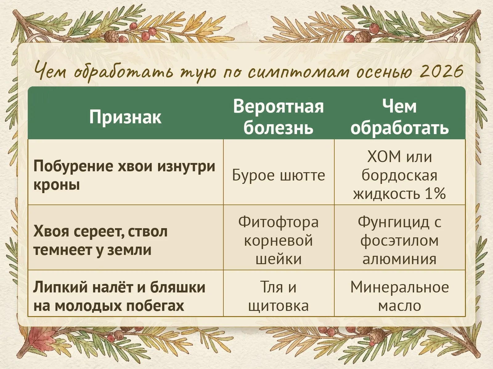 Таблица