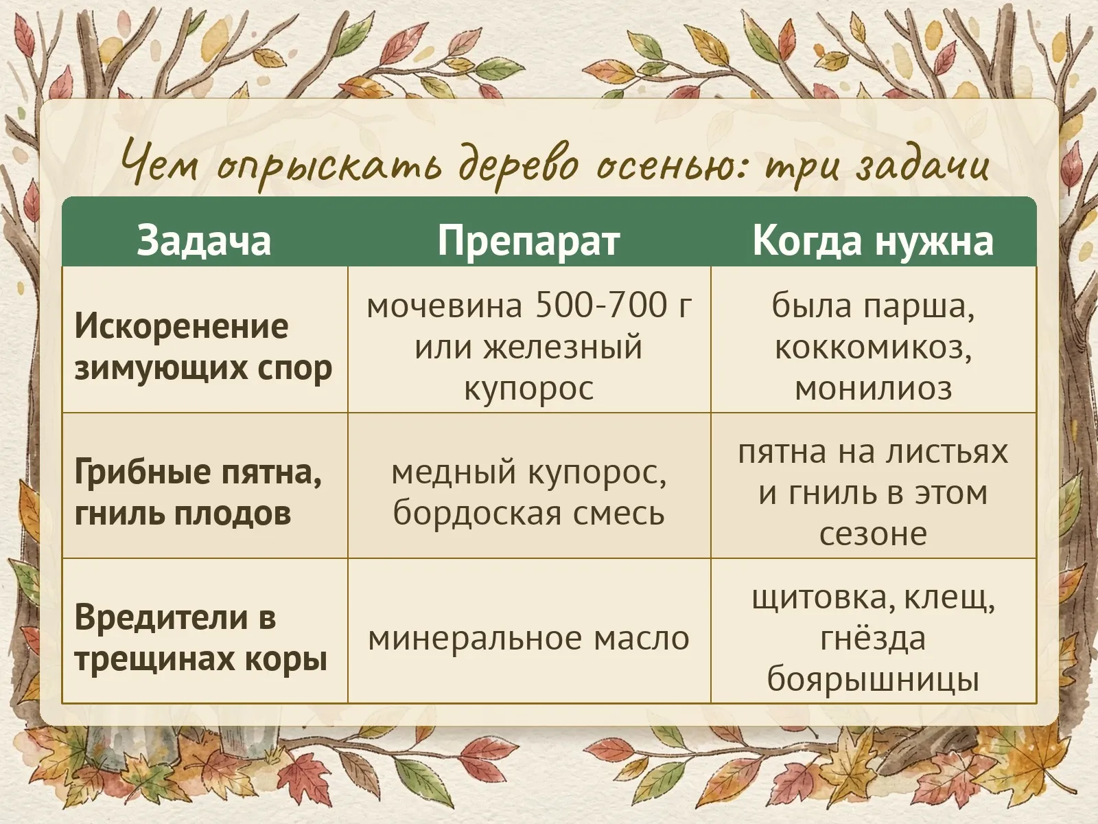 Таблица