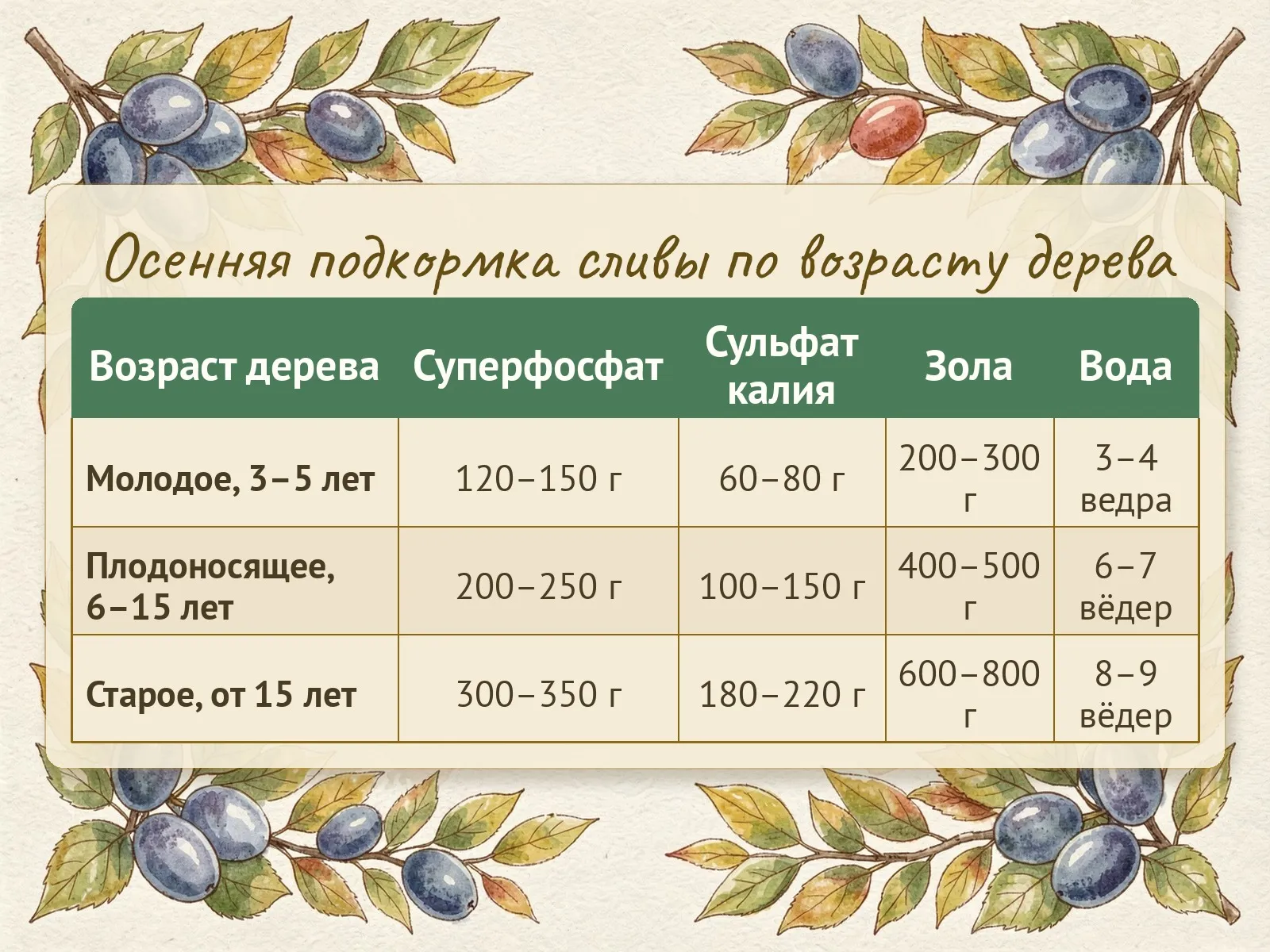 Таблица