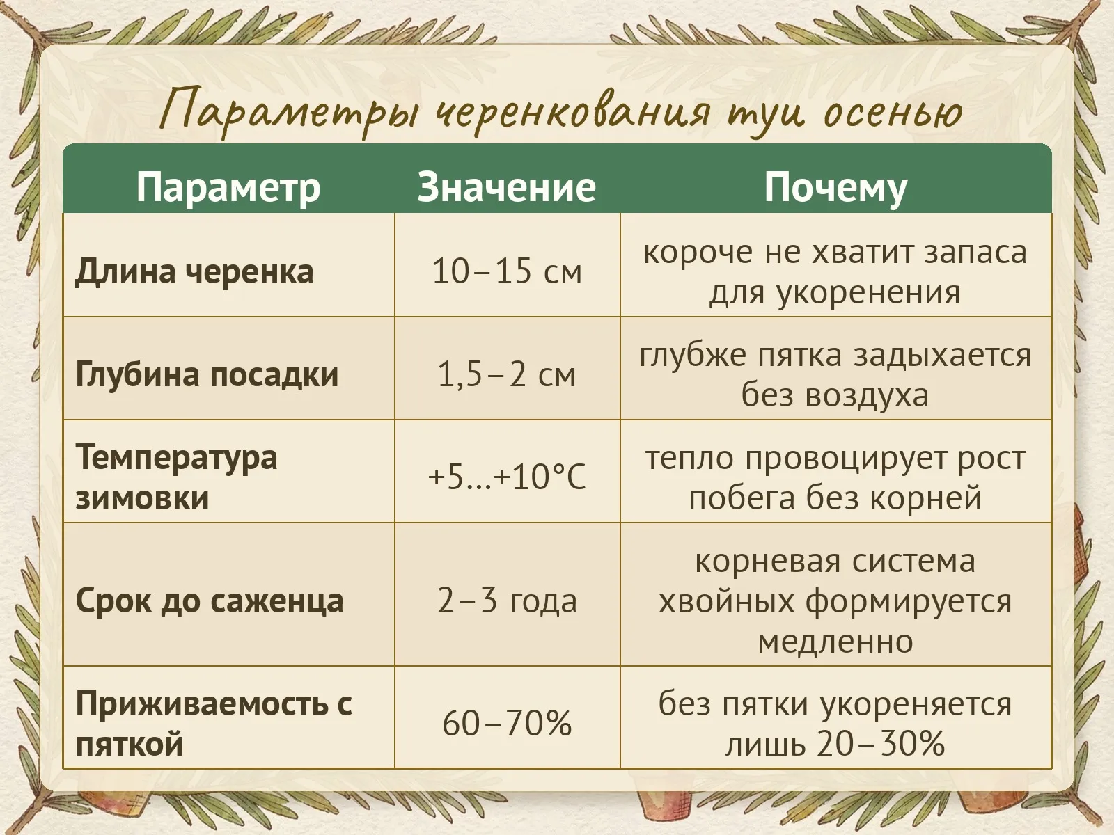 Таблица