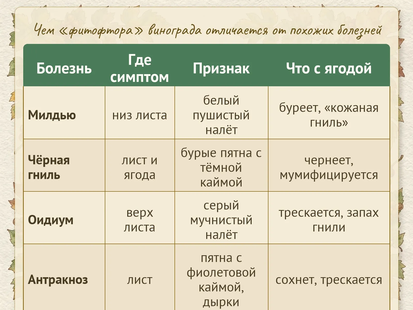 Таблица