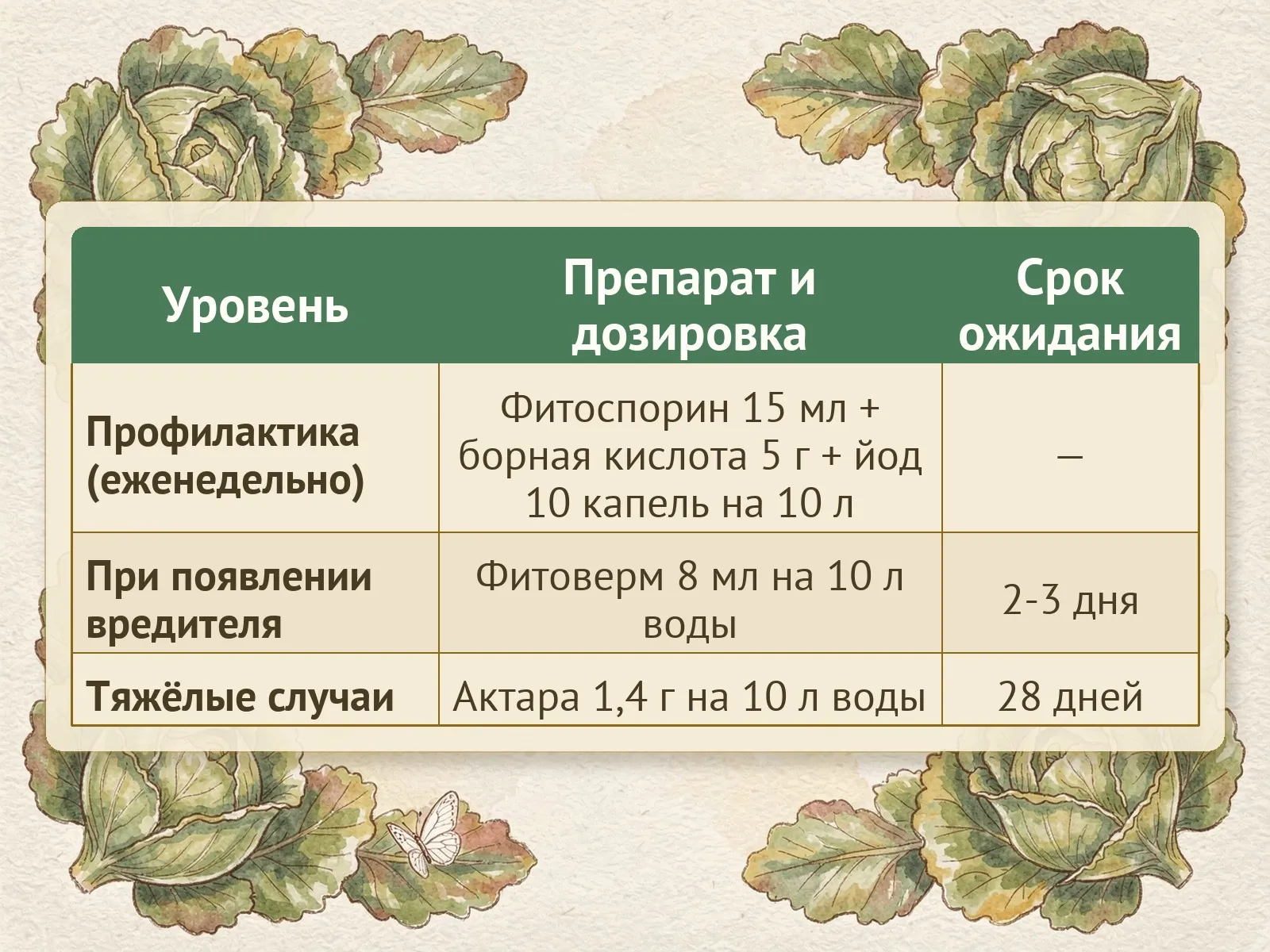 Таблица