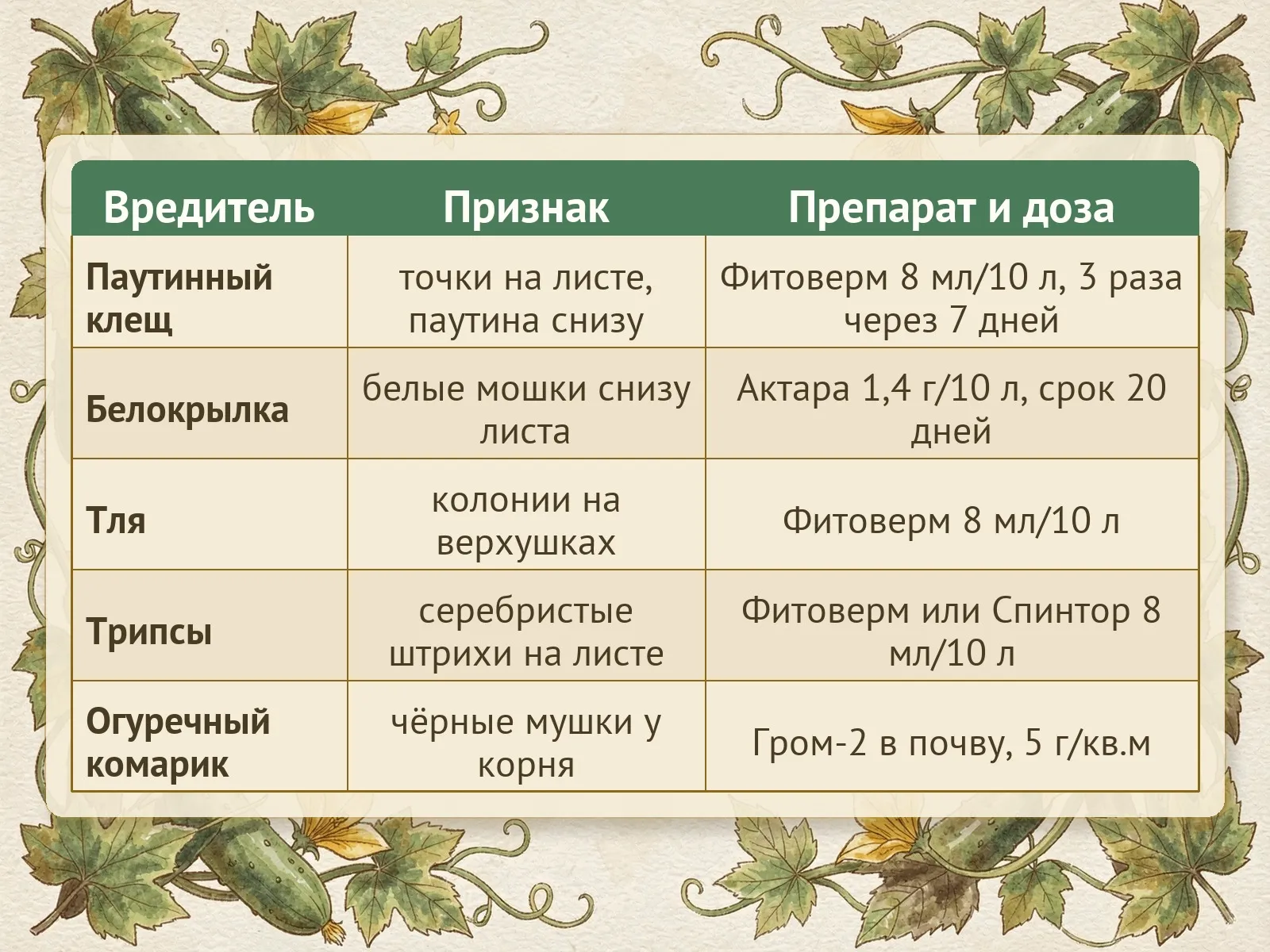 Таблица