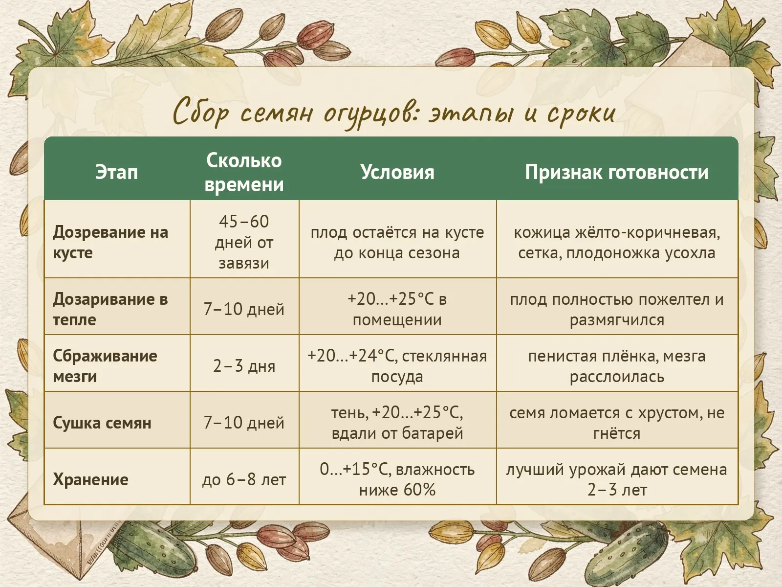Таблица