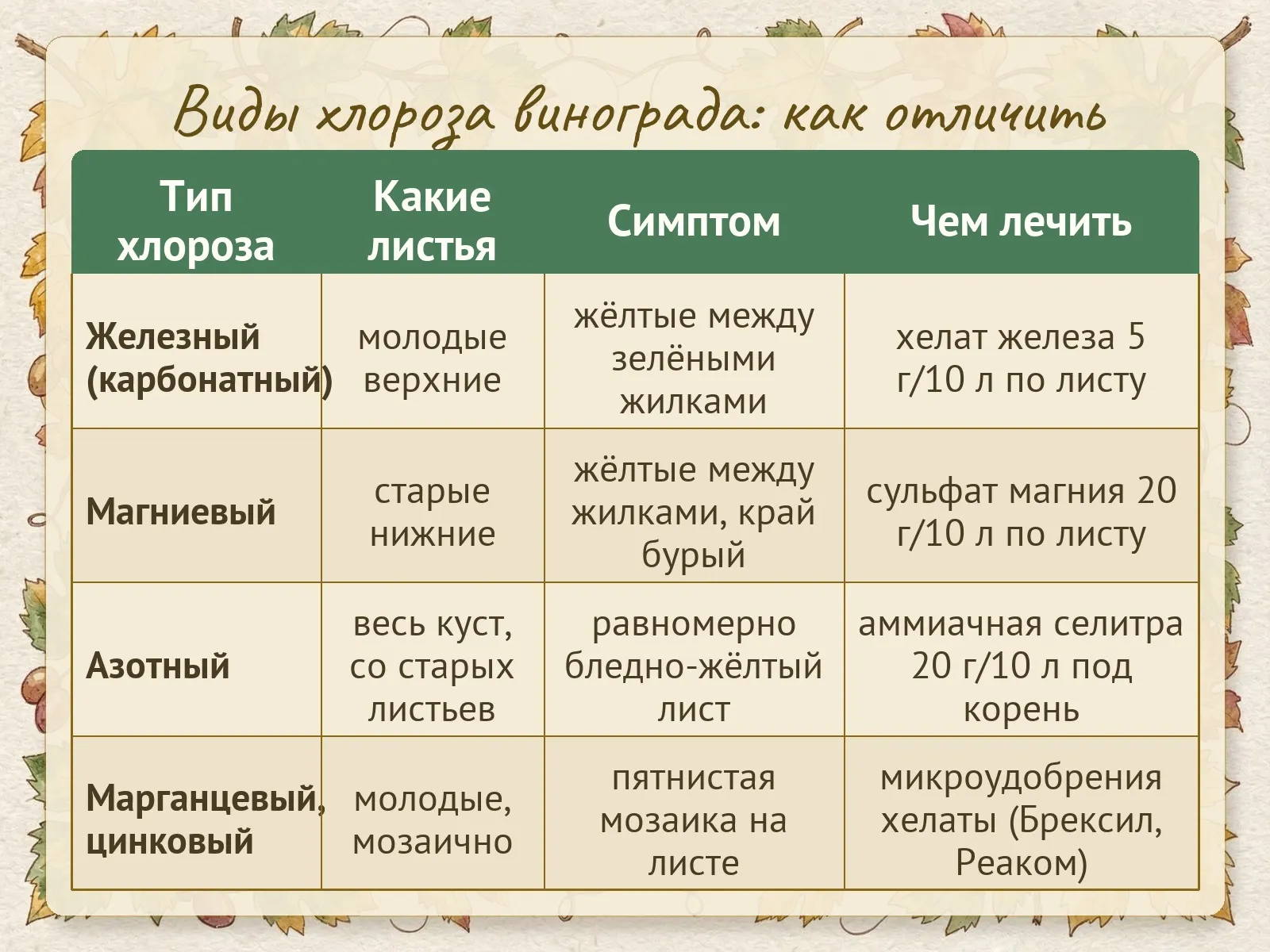 Таблица