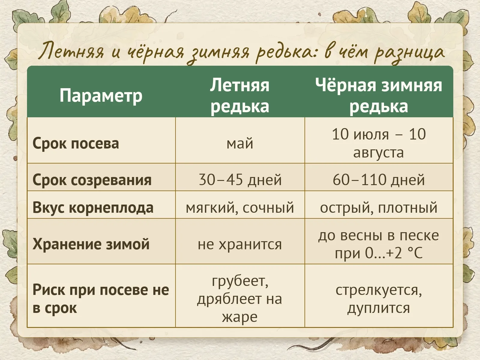 Таблица