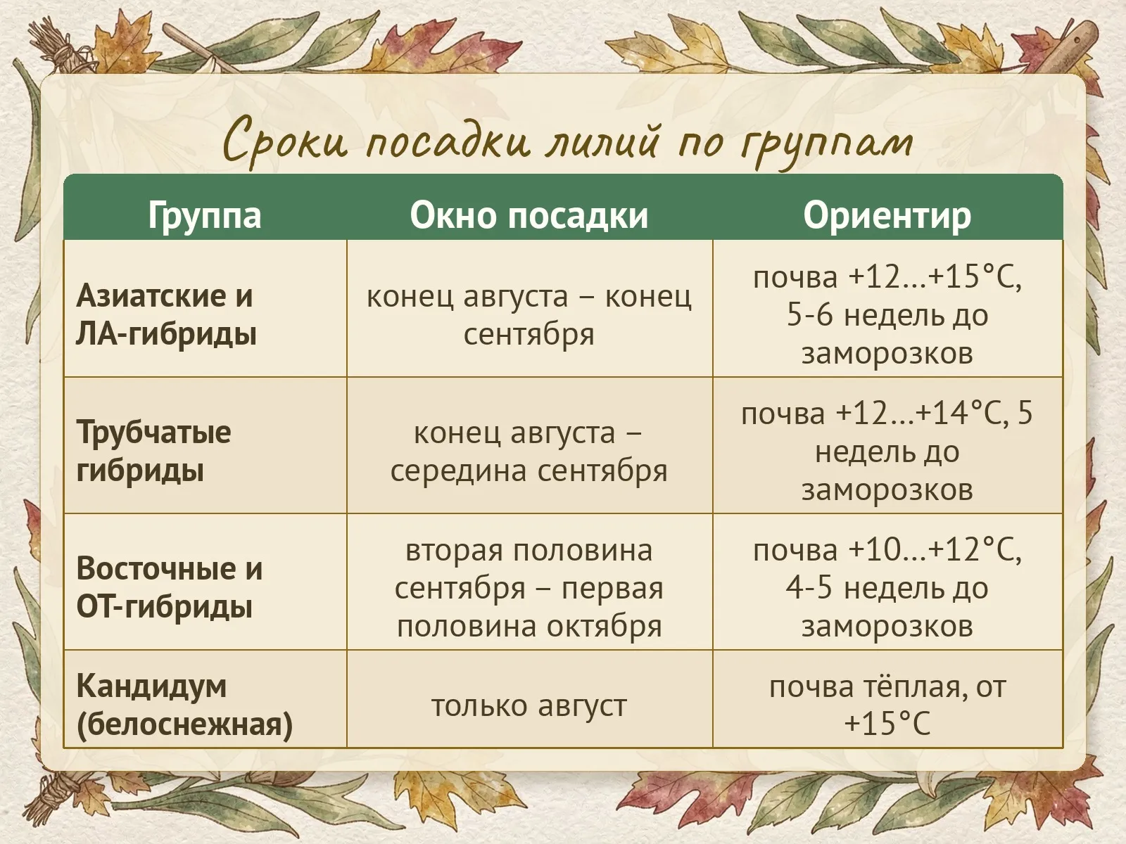 Таблица