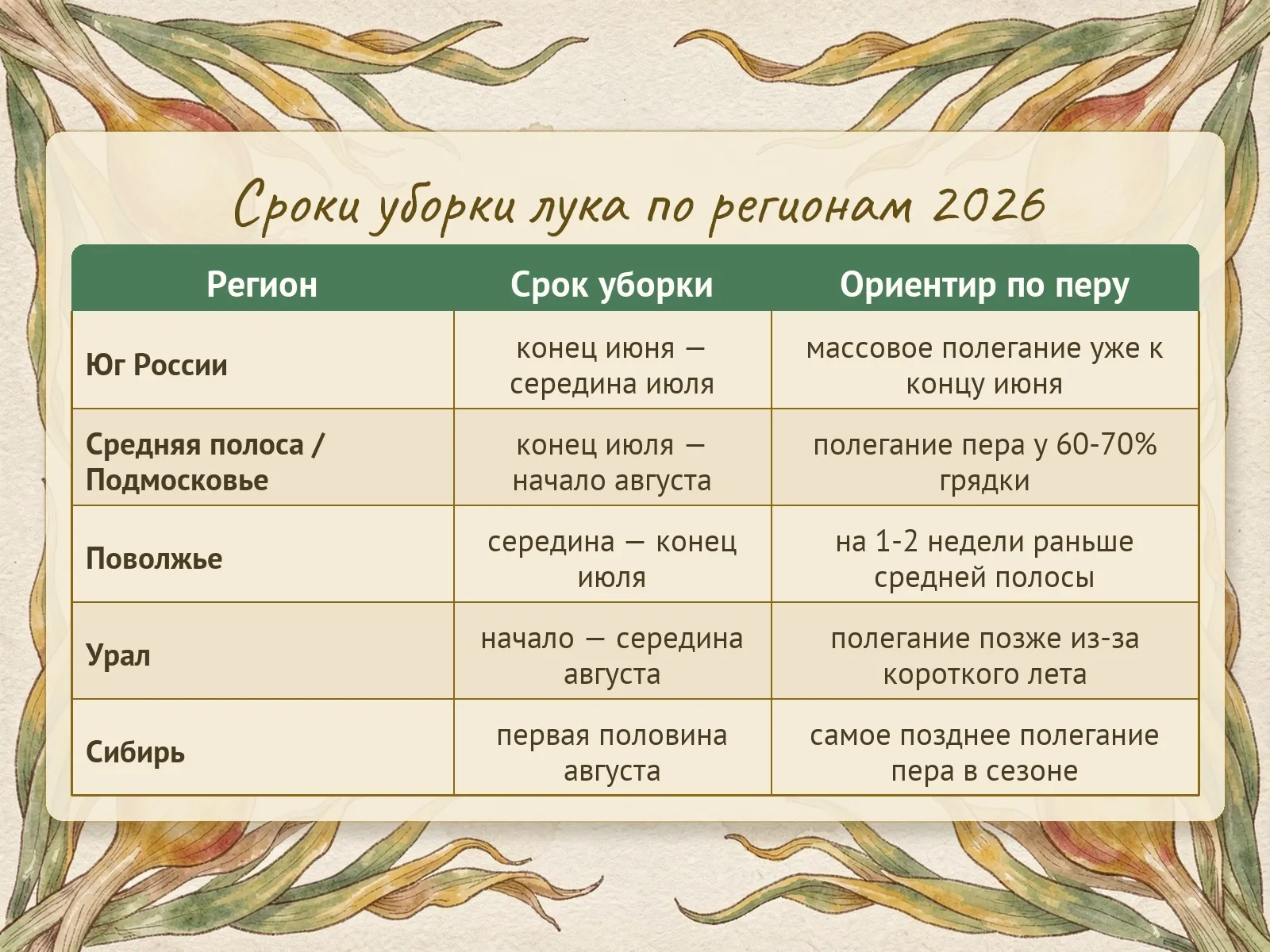 Таблица