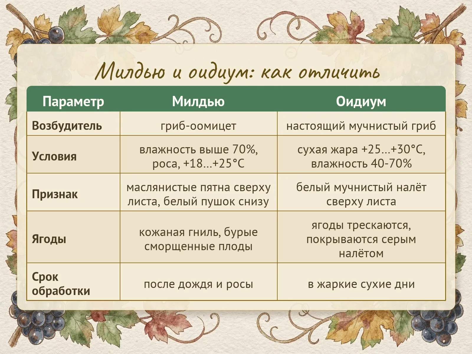Таблица