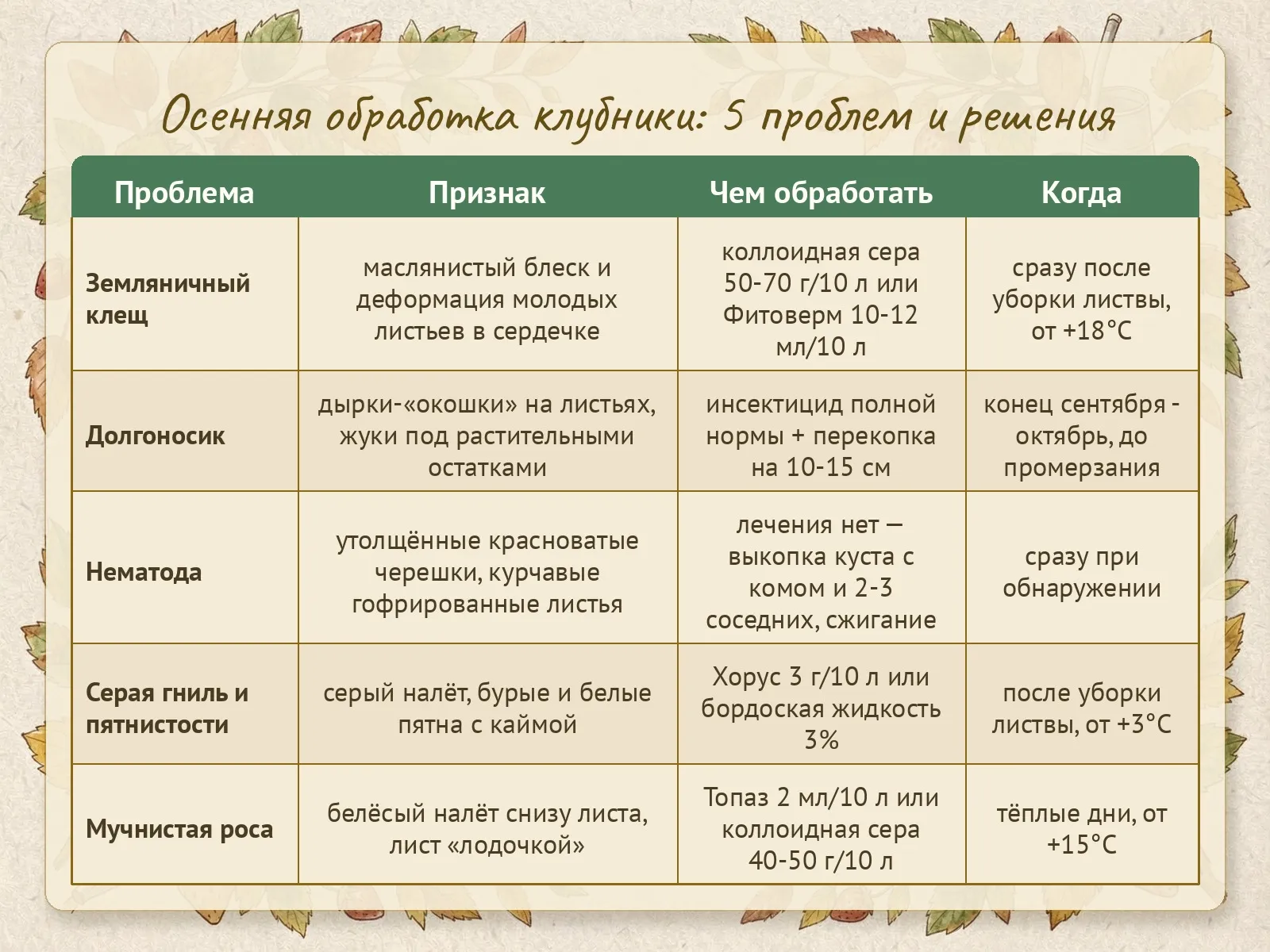 Таблица