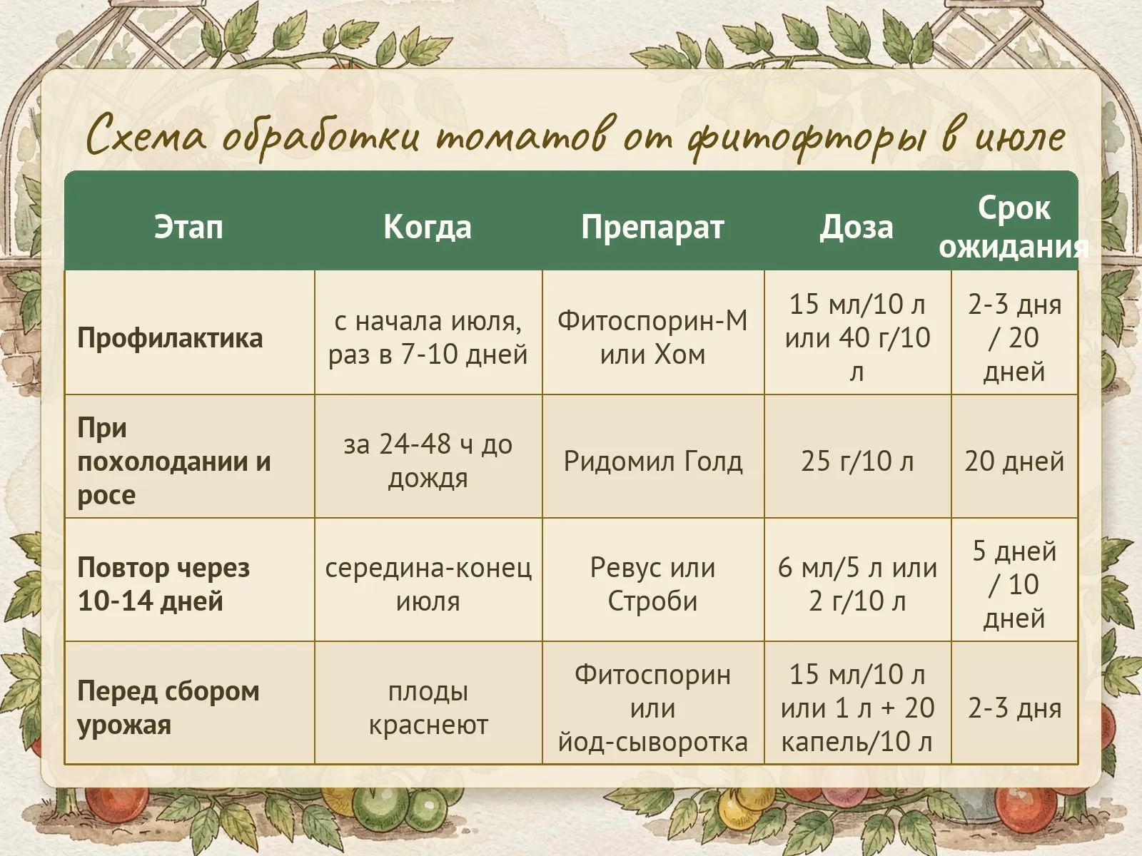 Таблица