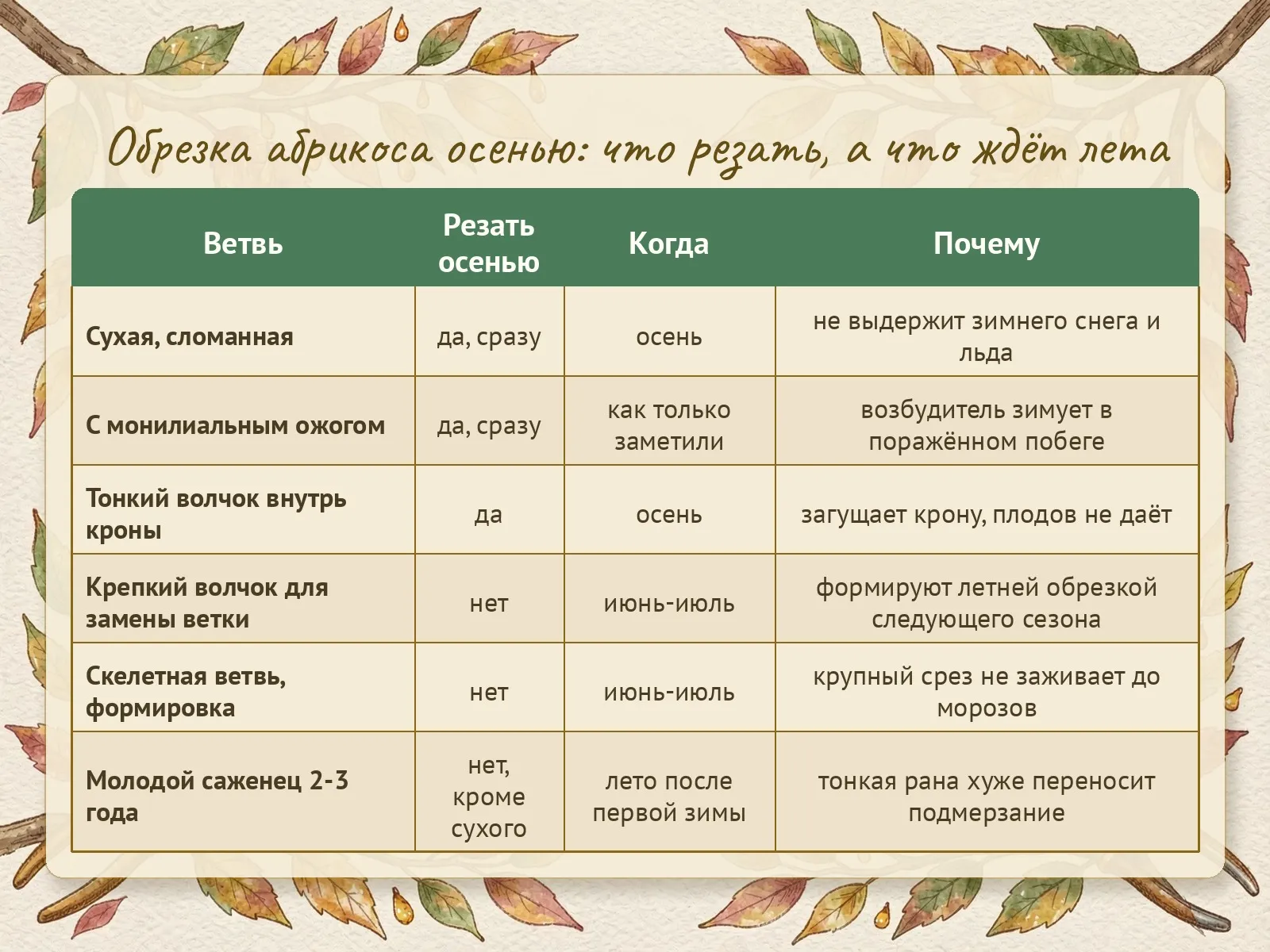 Таблица