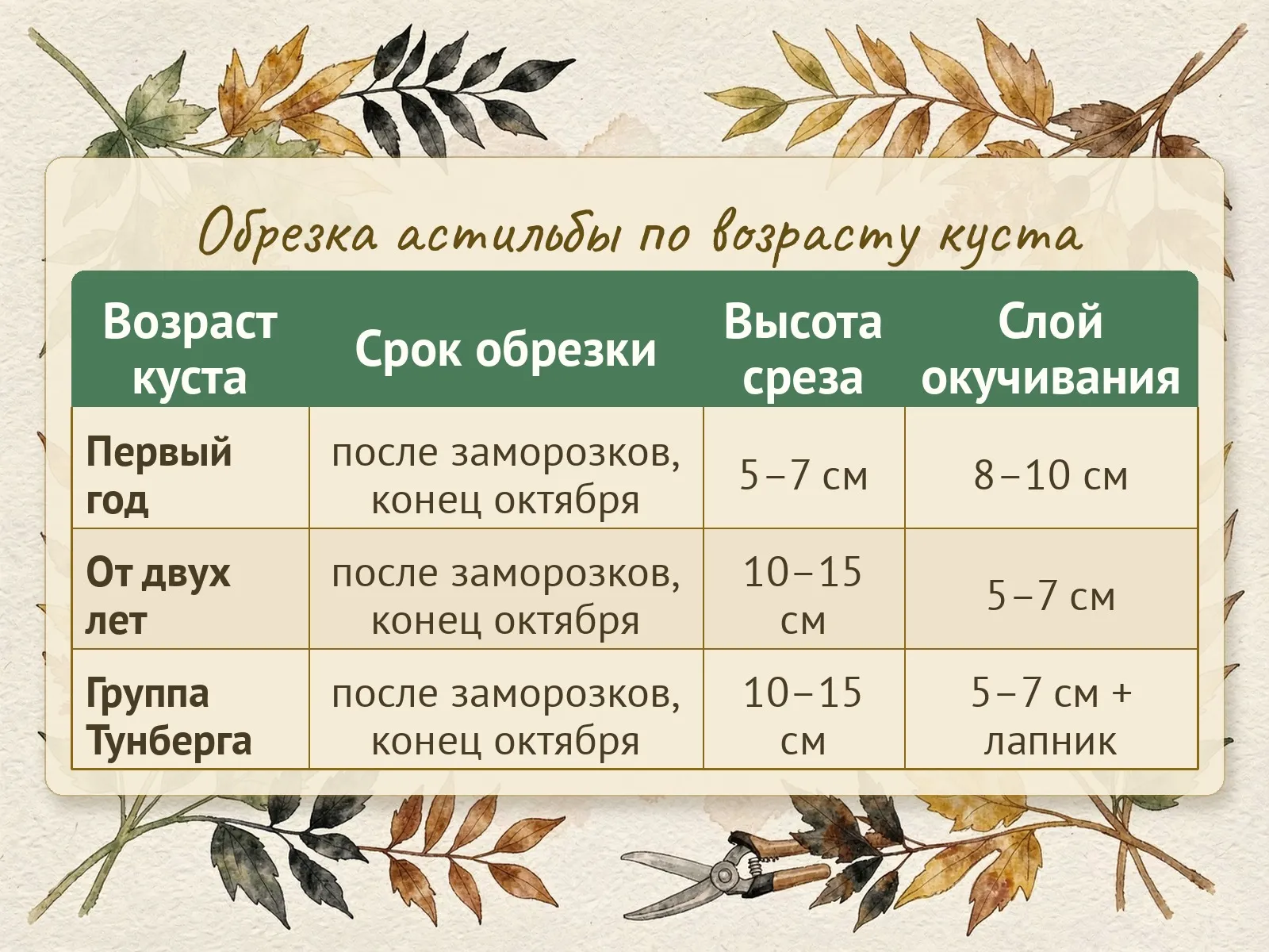 Таблица