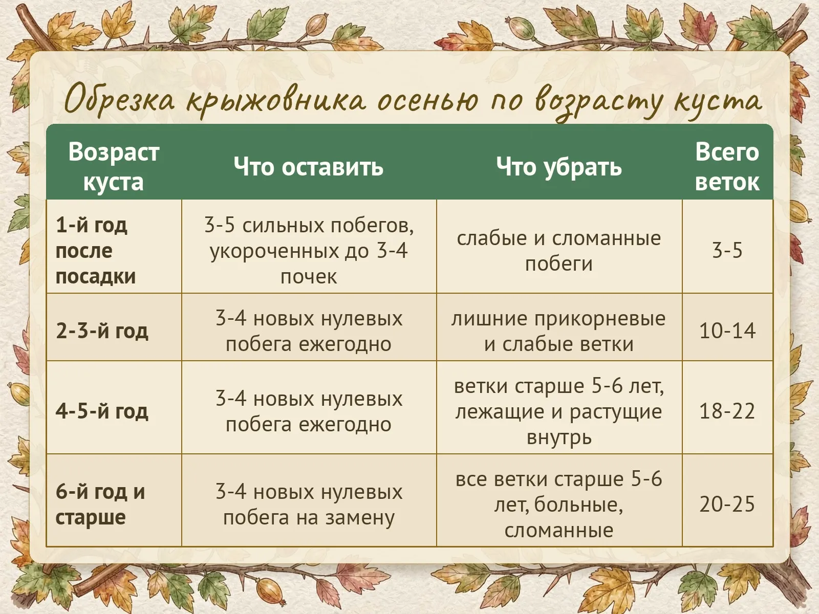 Таблица