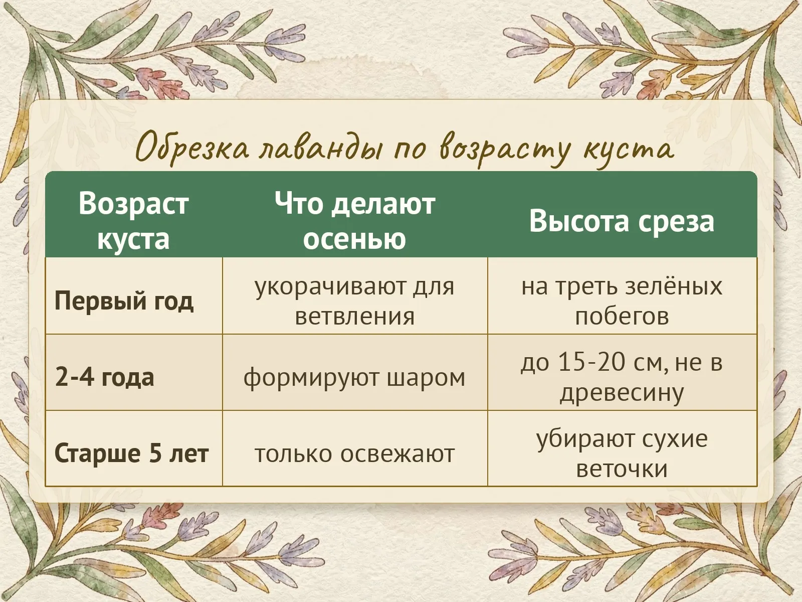 Таблица
