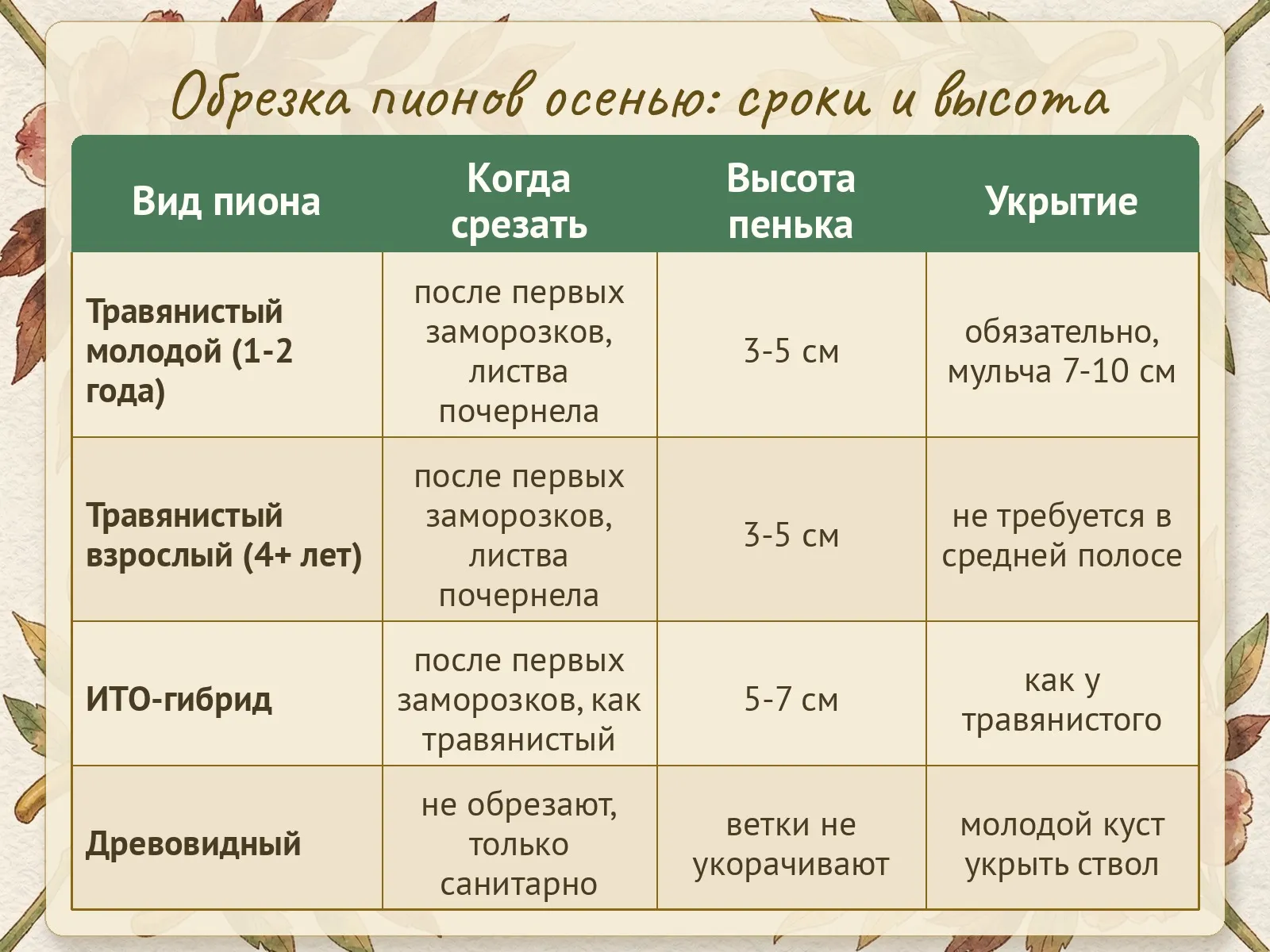 Таблица
