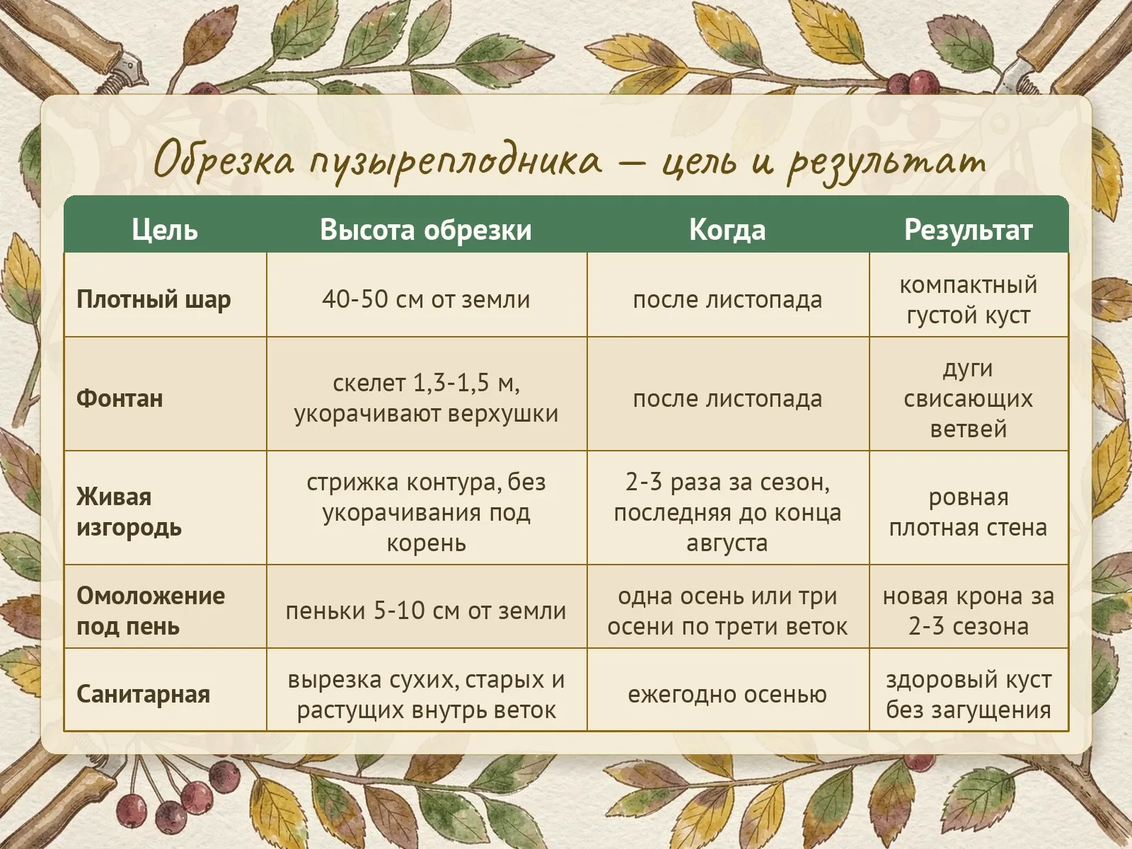 Таблица
