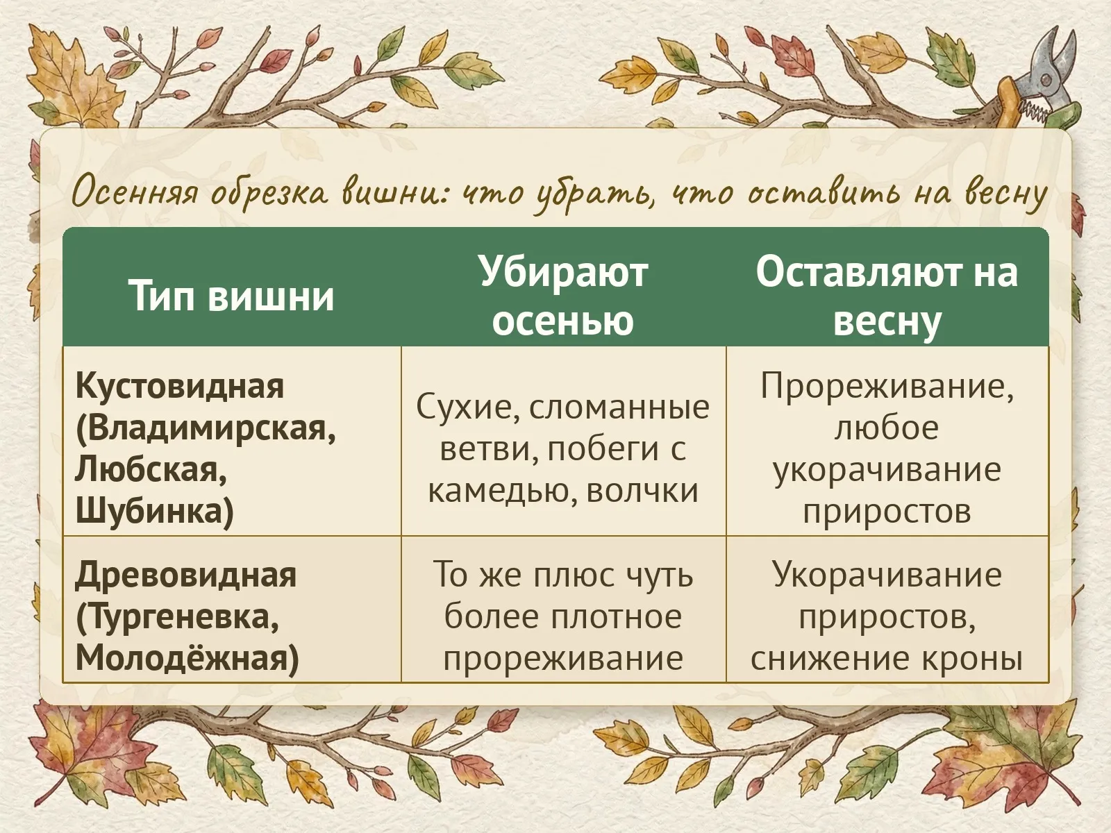 Таблица