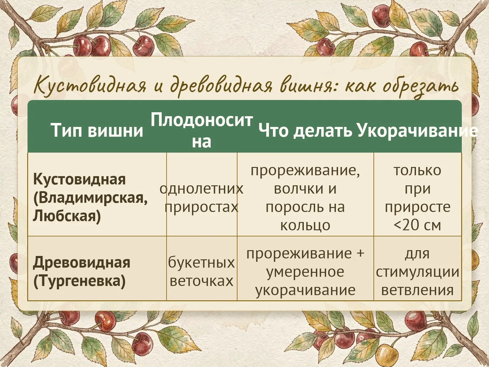 Таблица