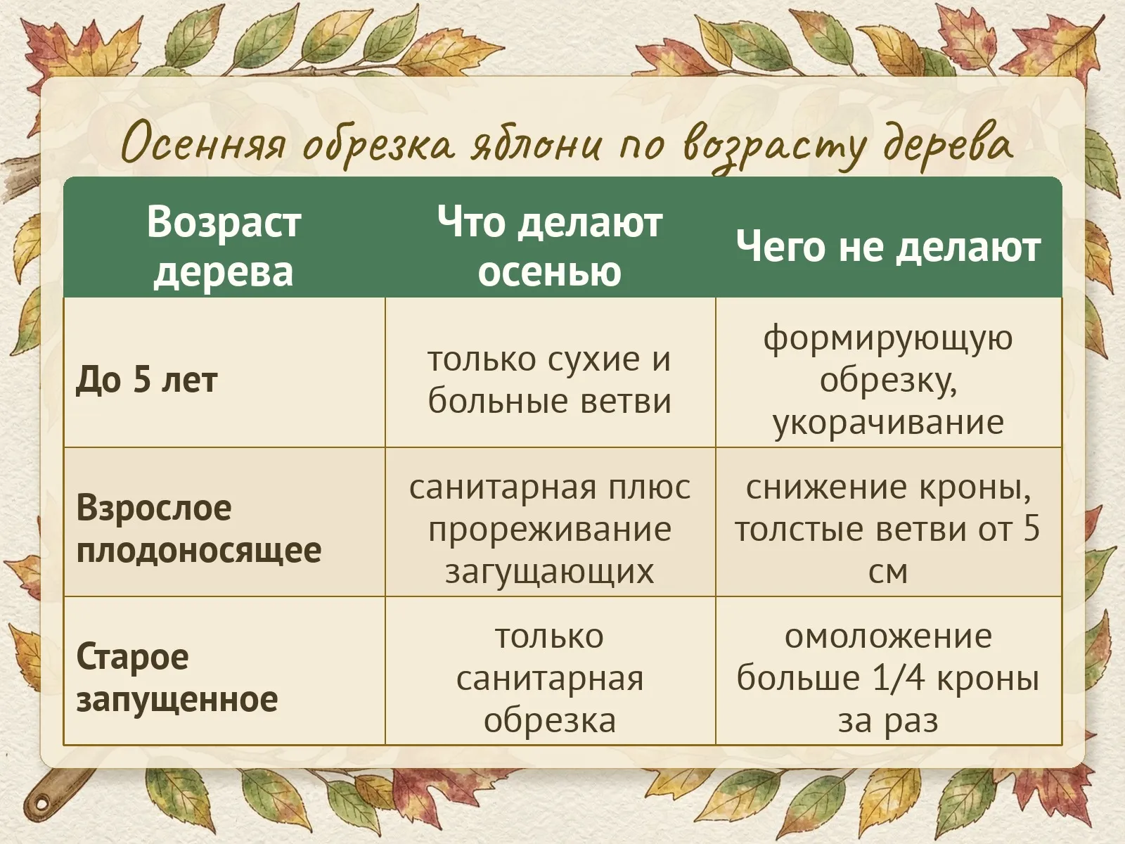 Таблица