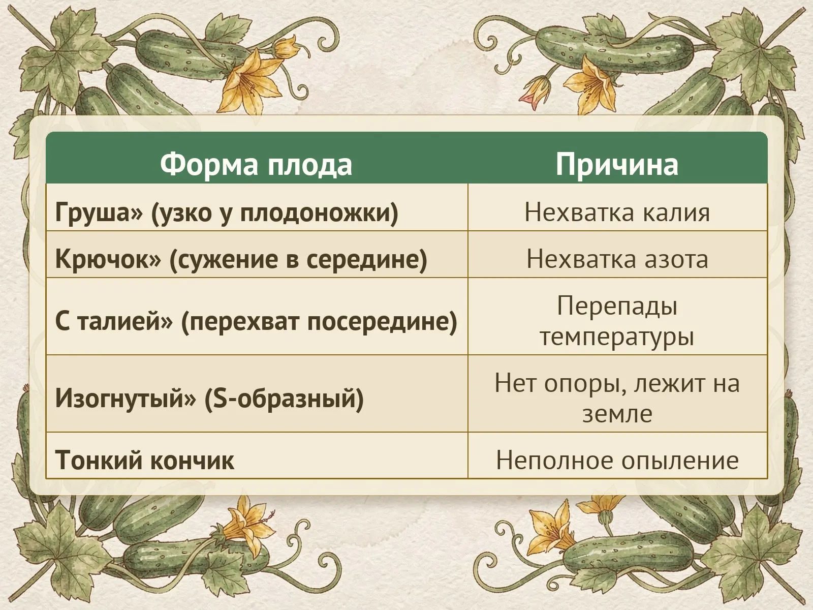 Таблица