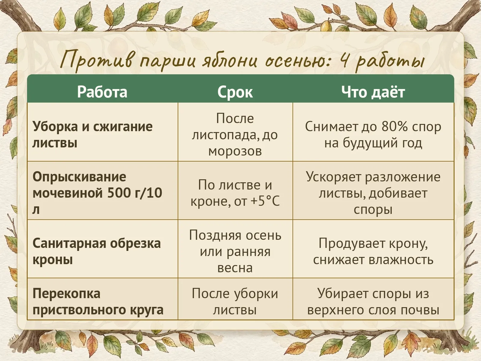 Таблица