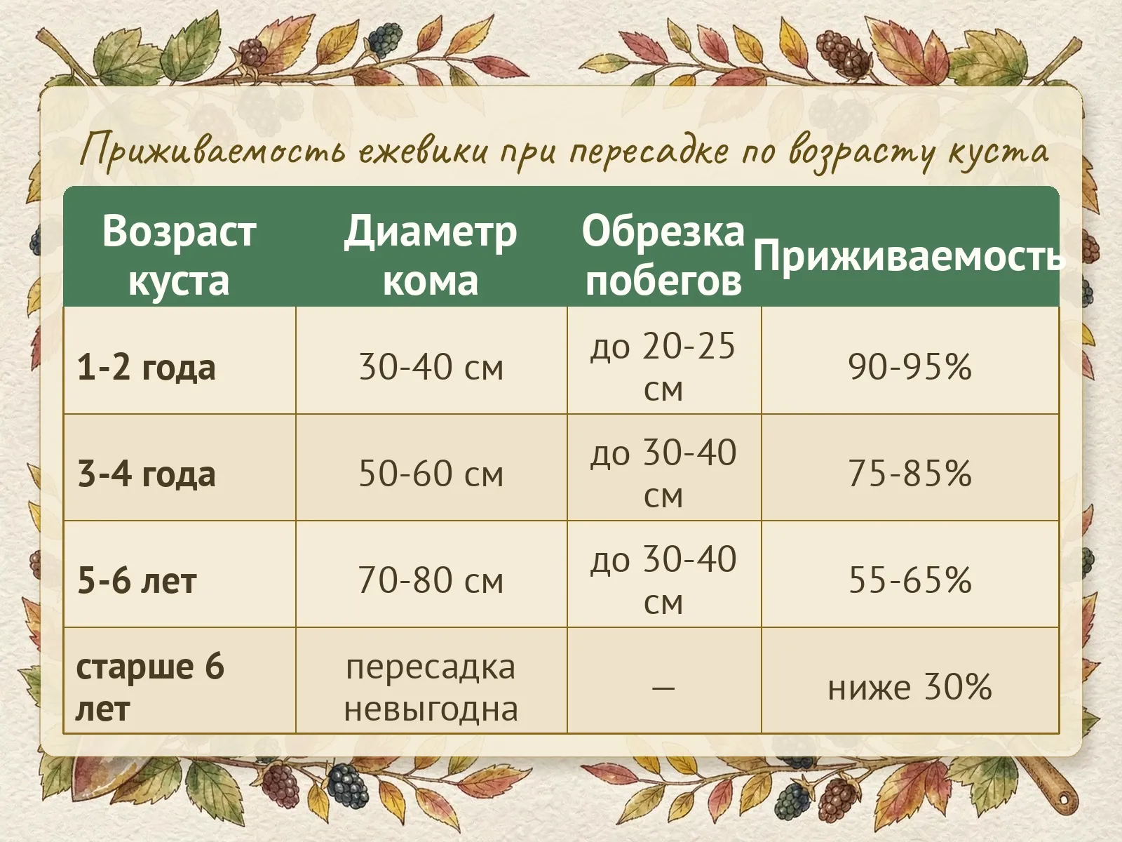 Таблица