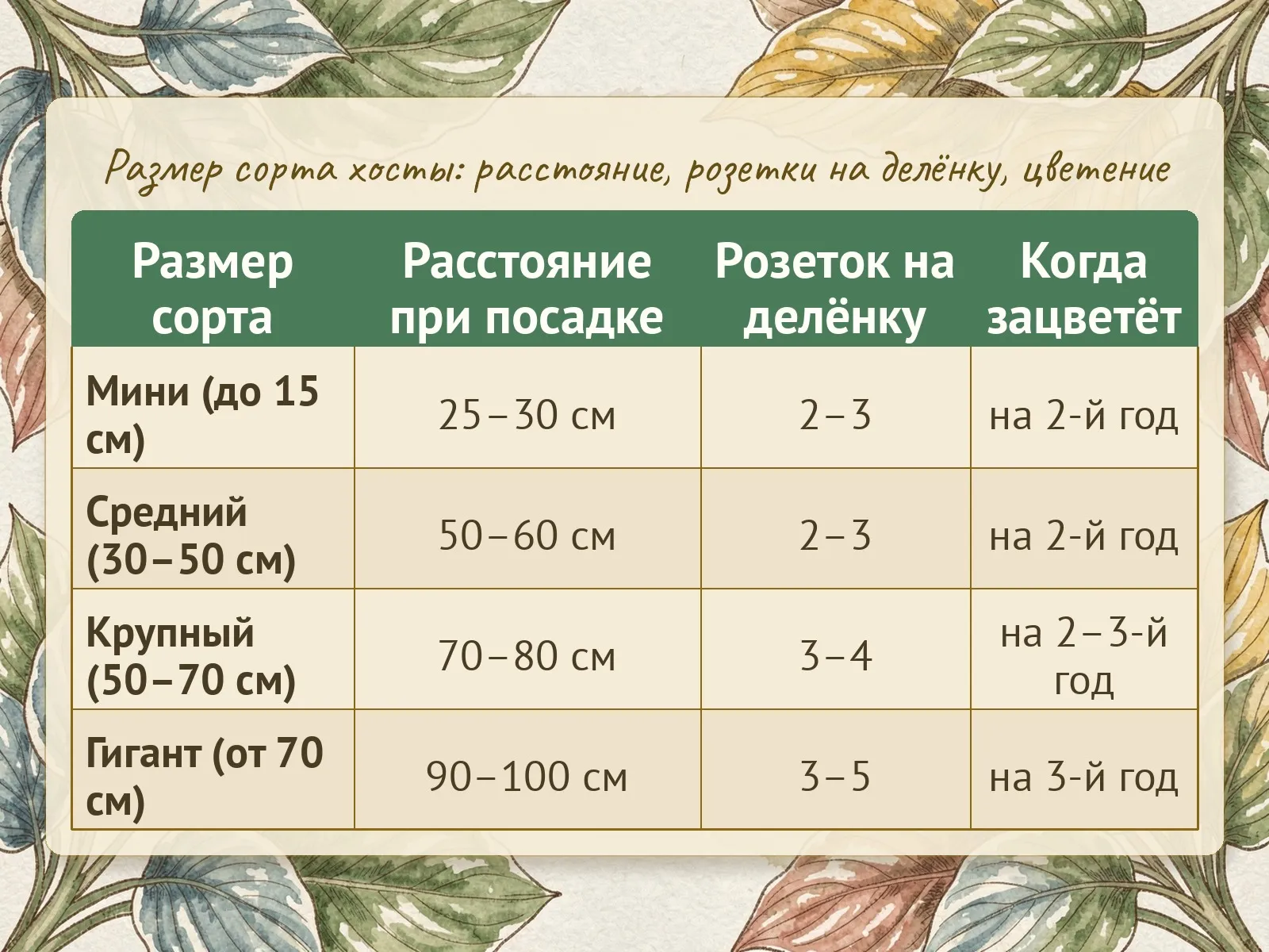 Таблица