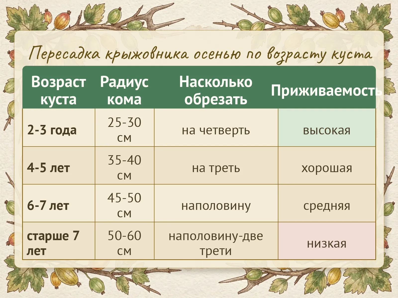 Таблица