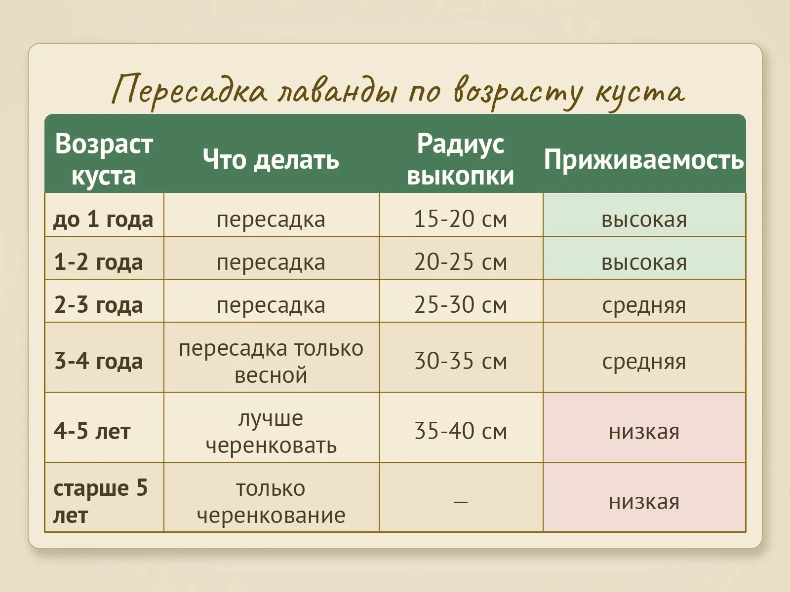 Таблица