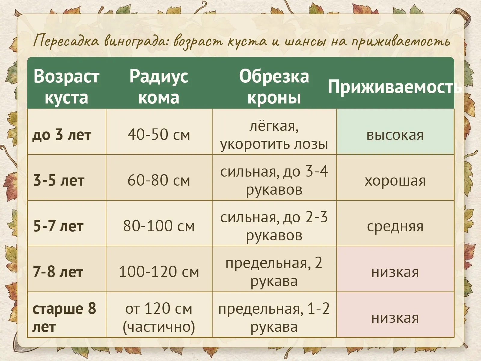 Таблица