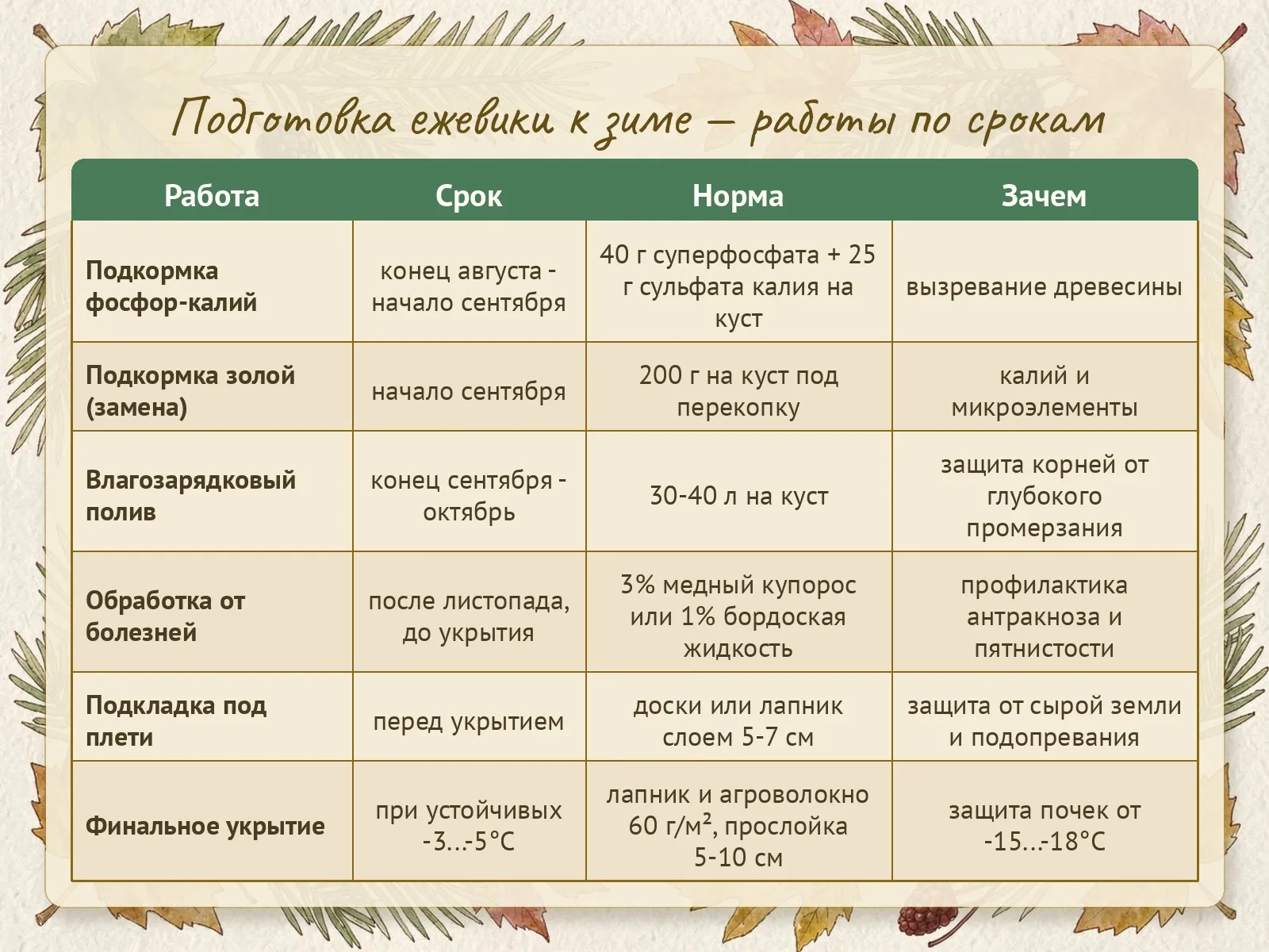 Таблица