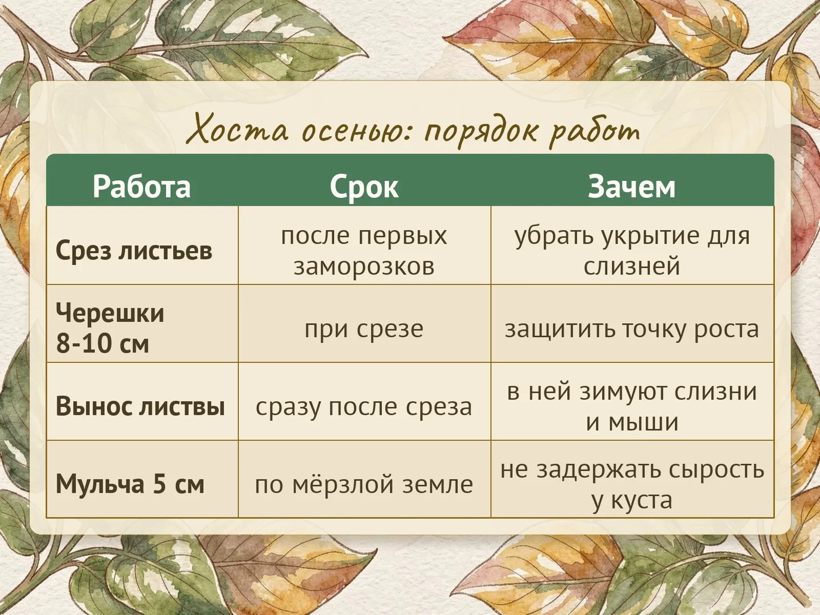Таблица