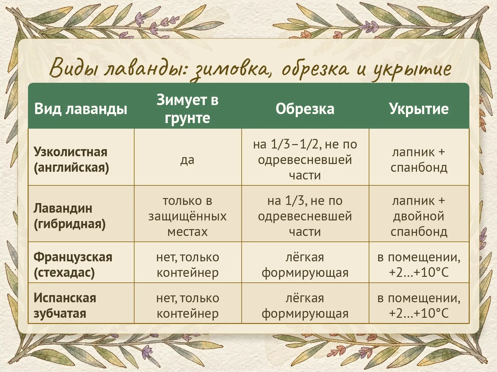 Таблица