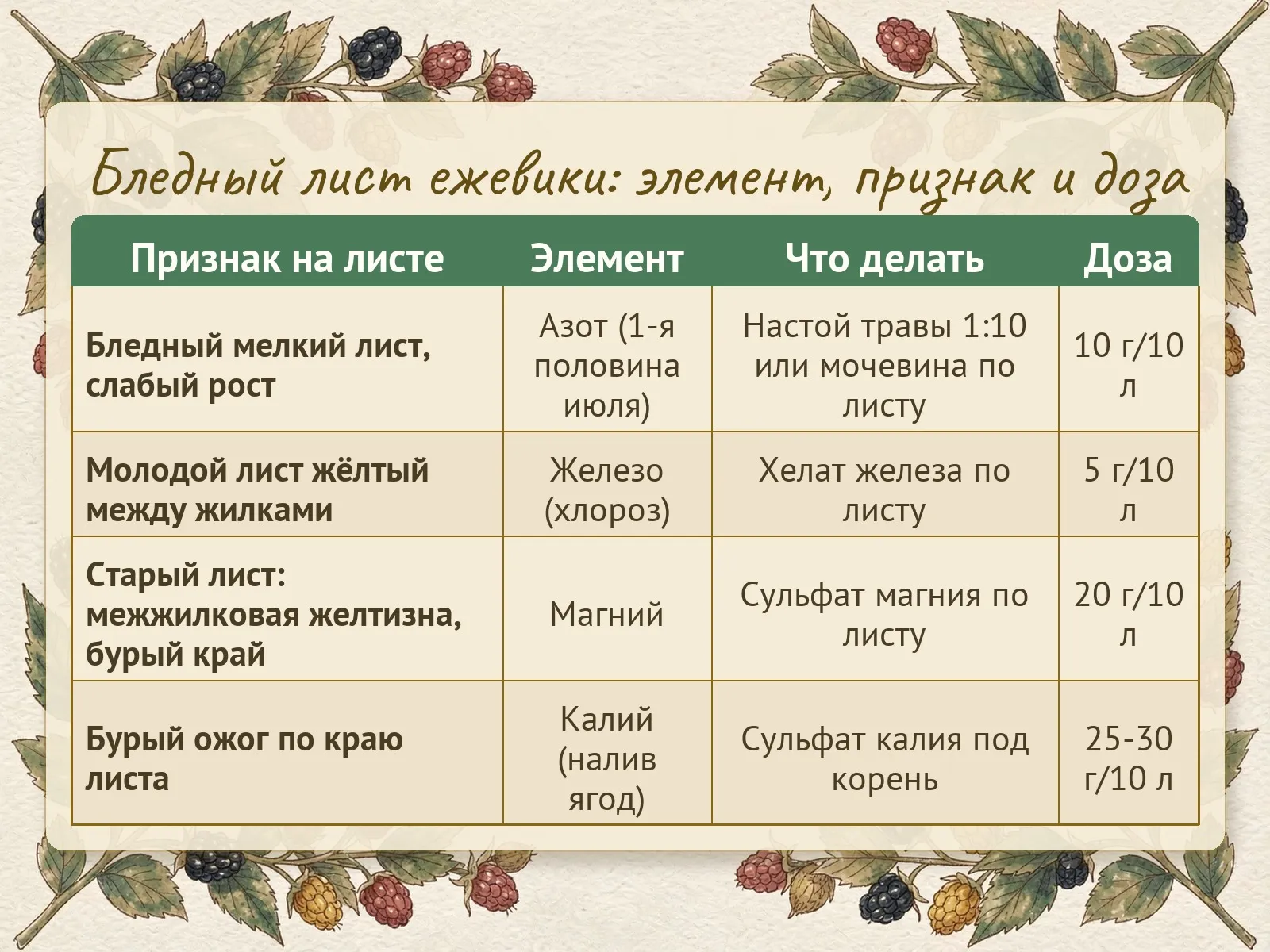 Таблица