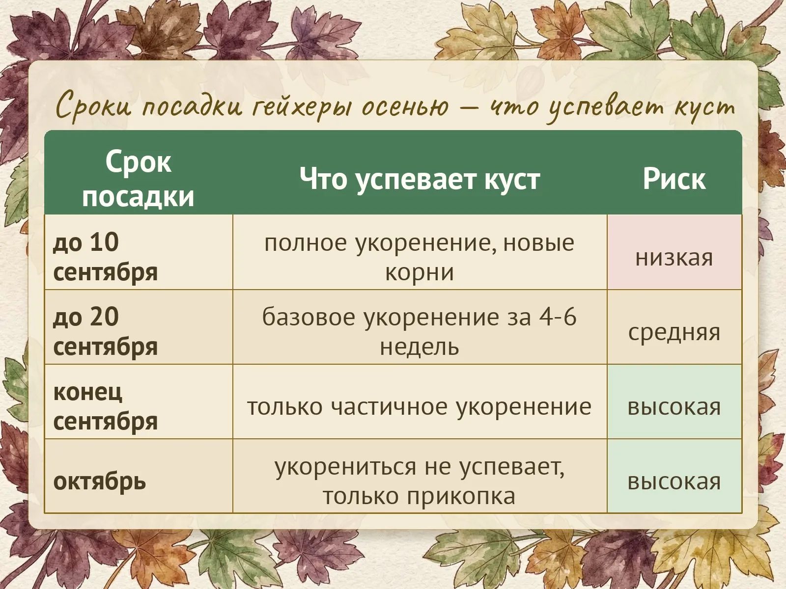 Таблица