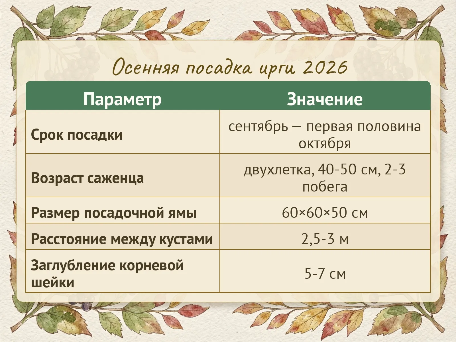 Таблица