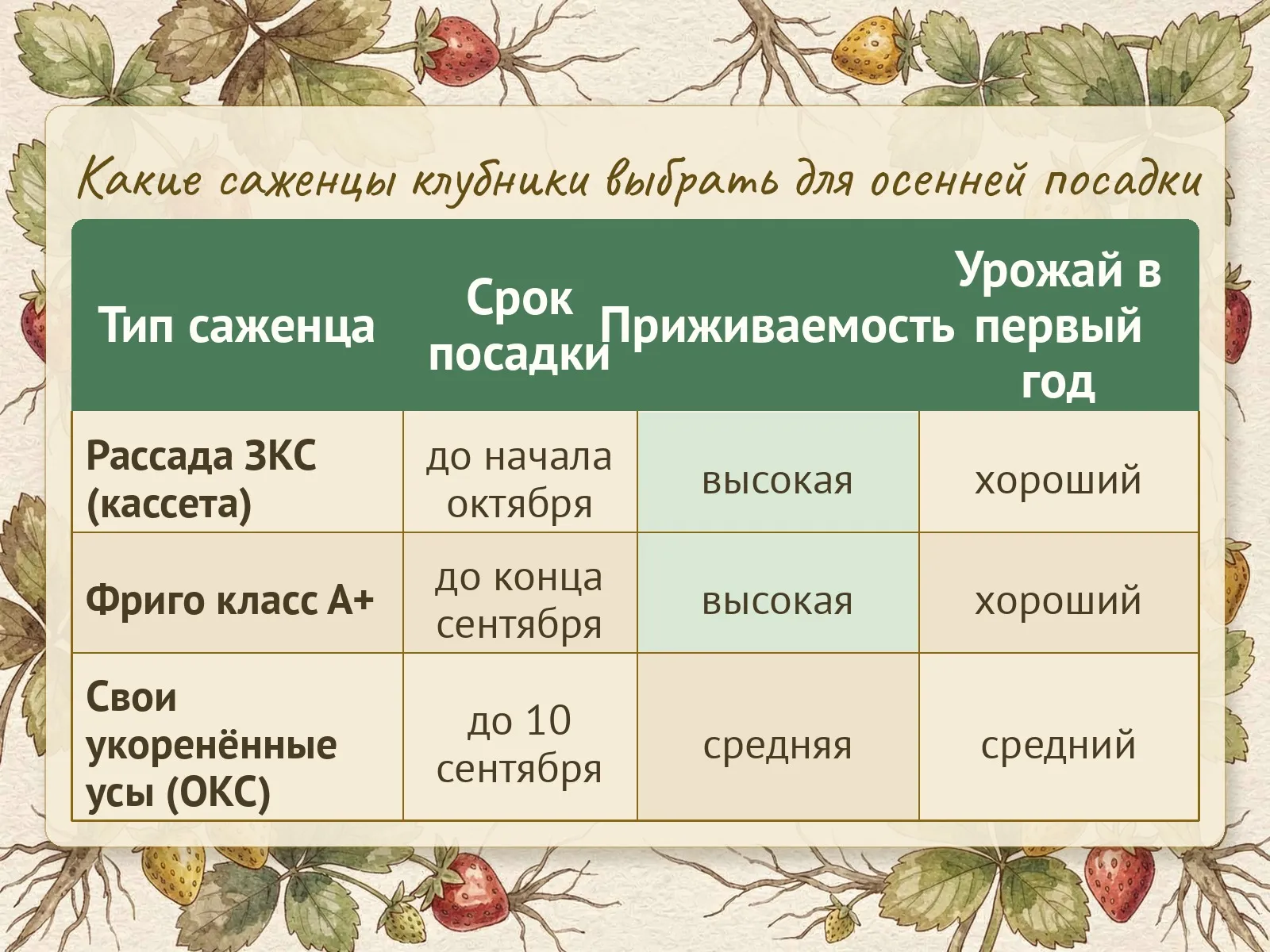 Таблица