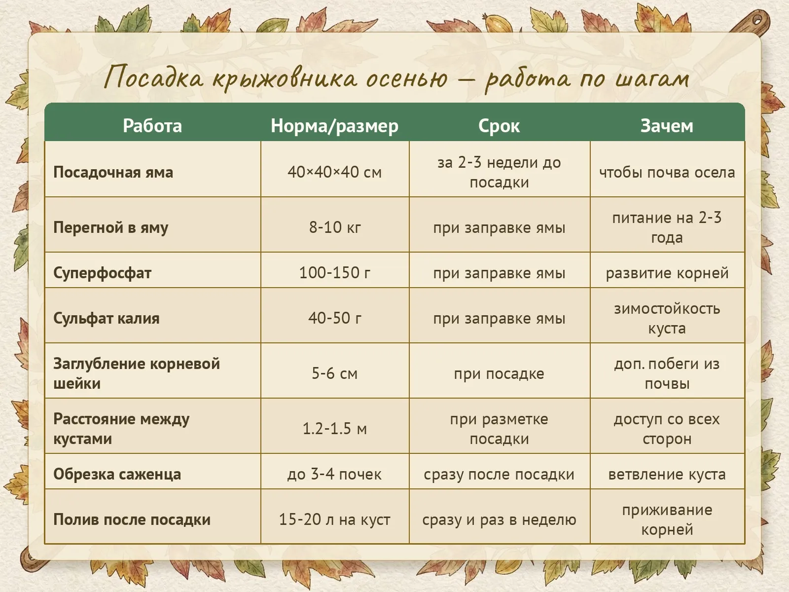 Таблица