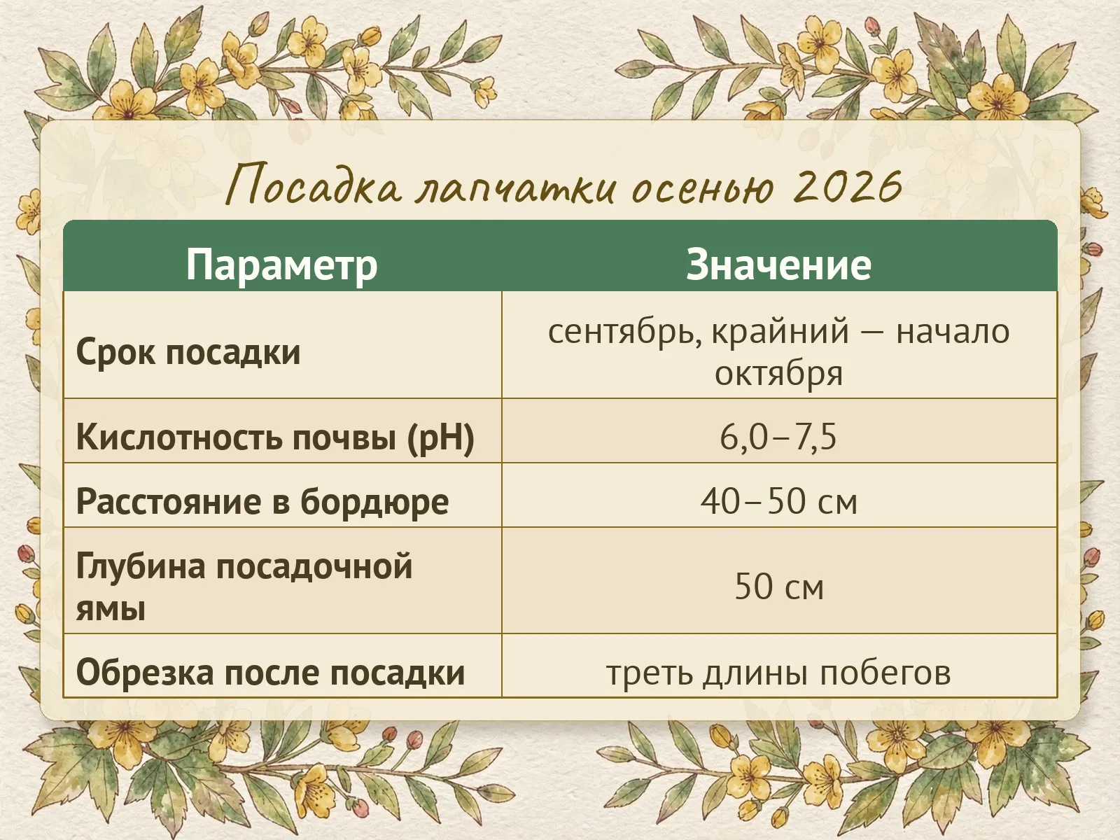Таблица