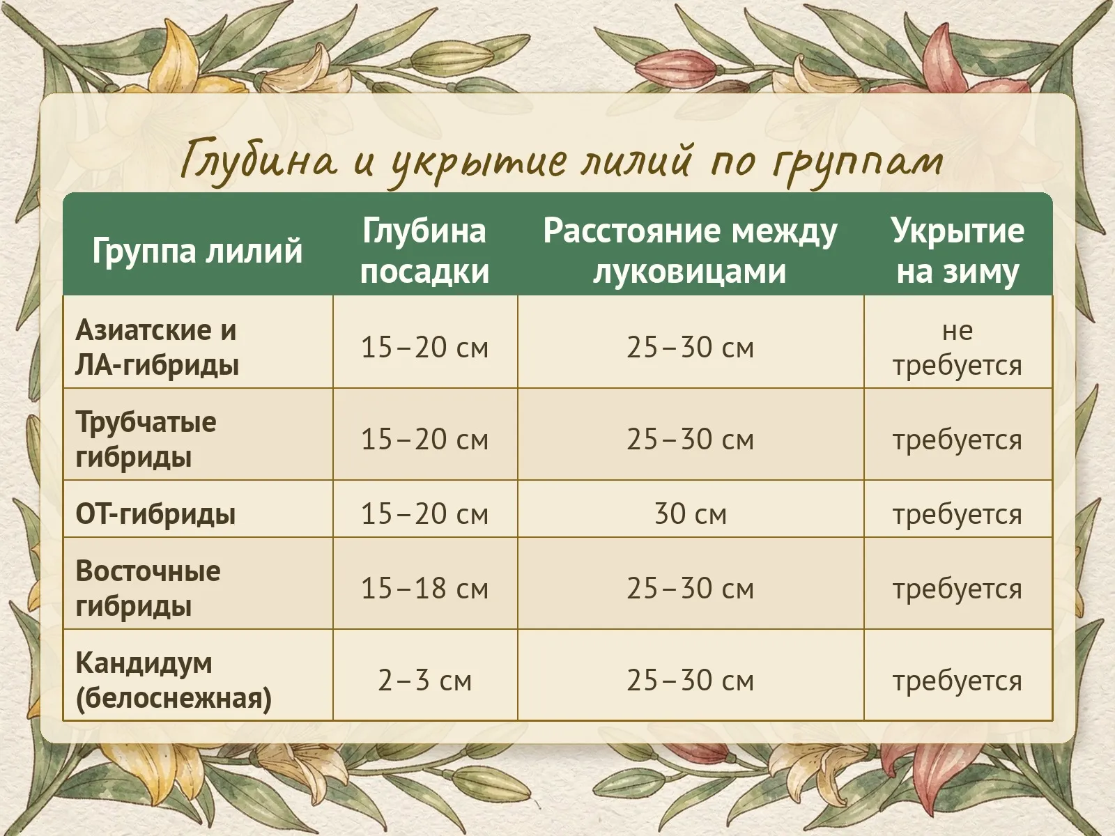 Таблица
