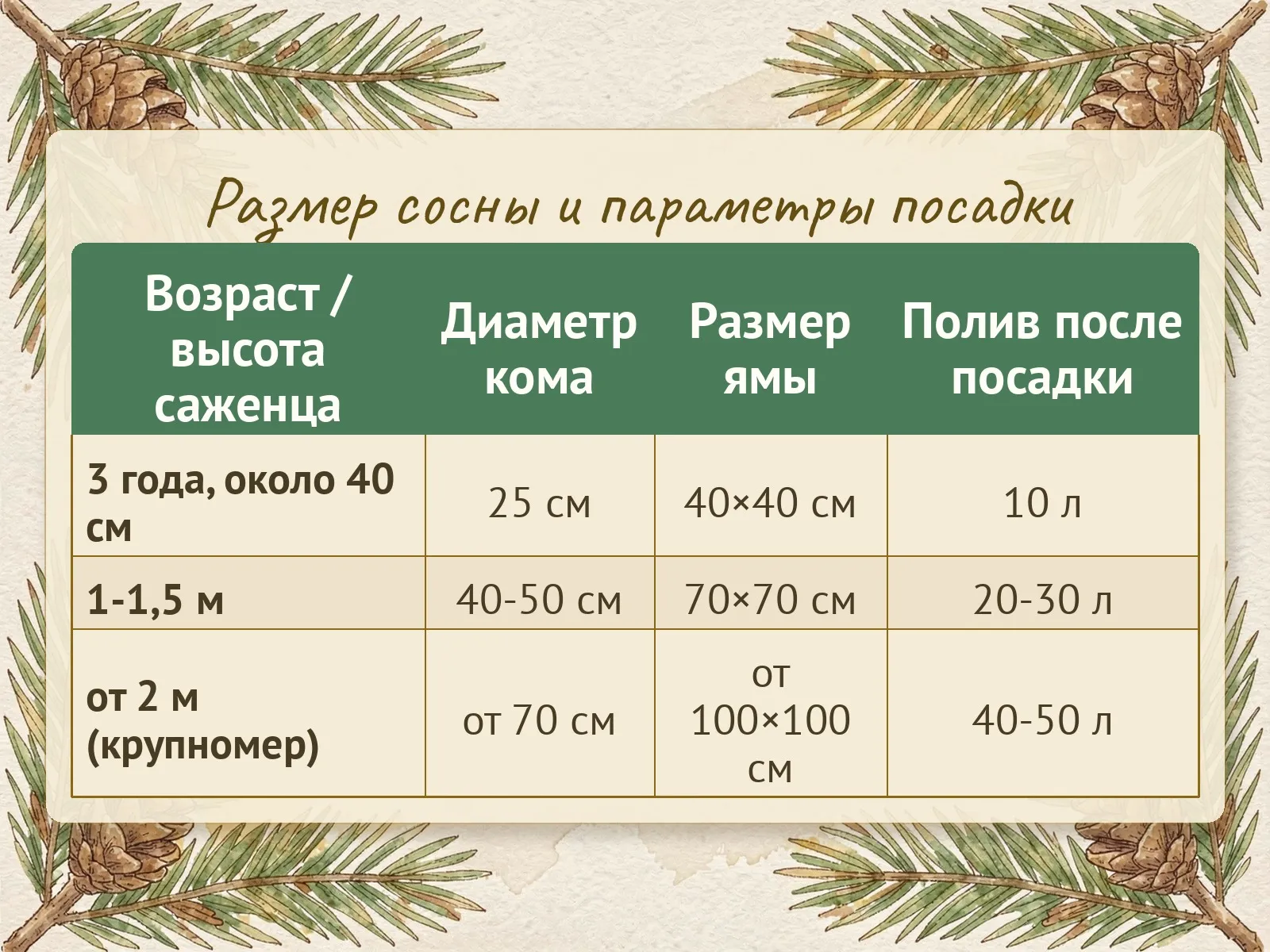 Таблица