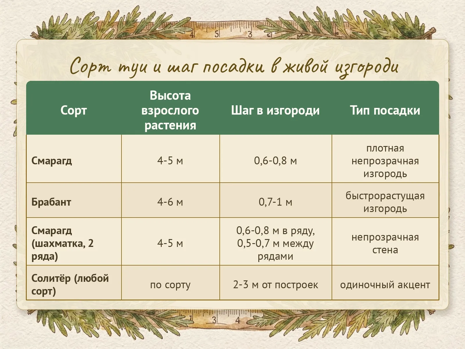 Таблица