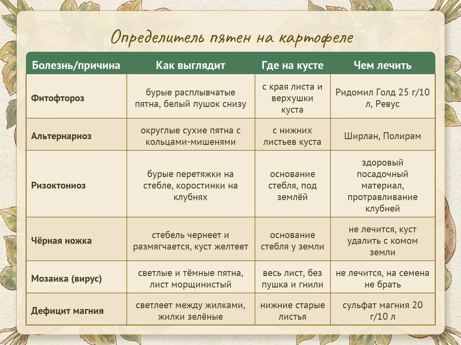 Таблица