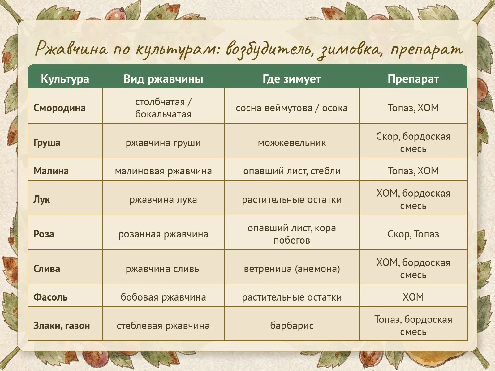 Таблица