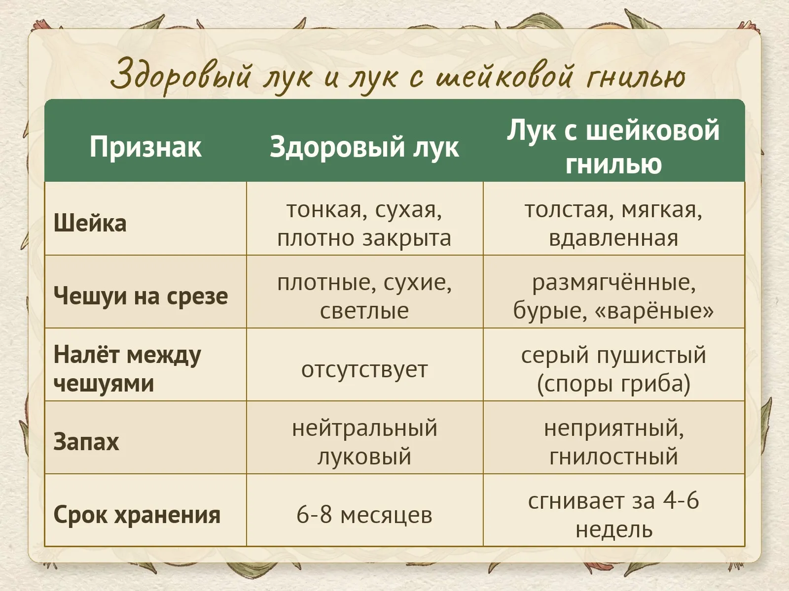 Таблица