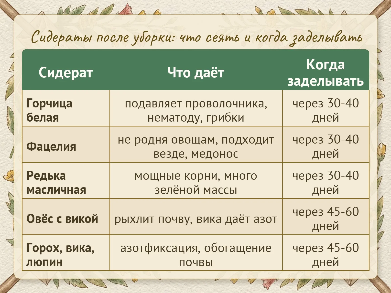 Таблица