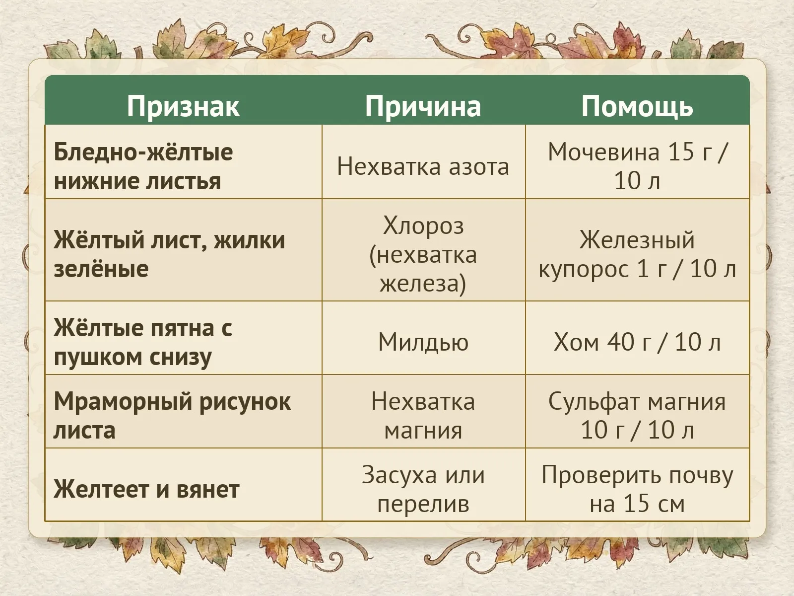 Таблица